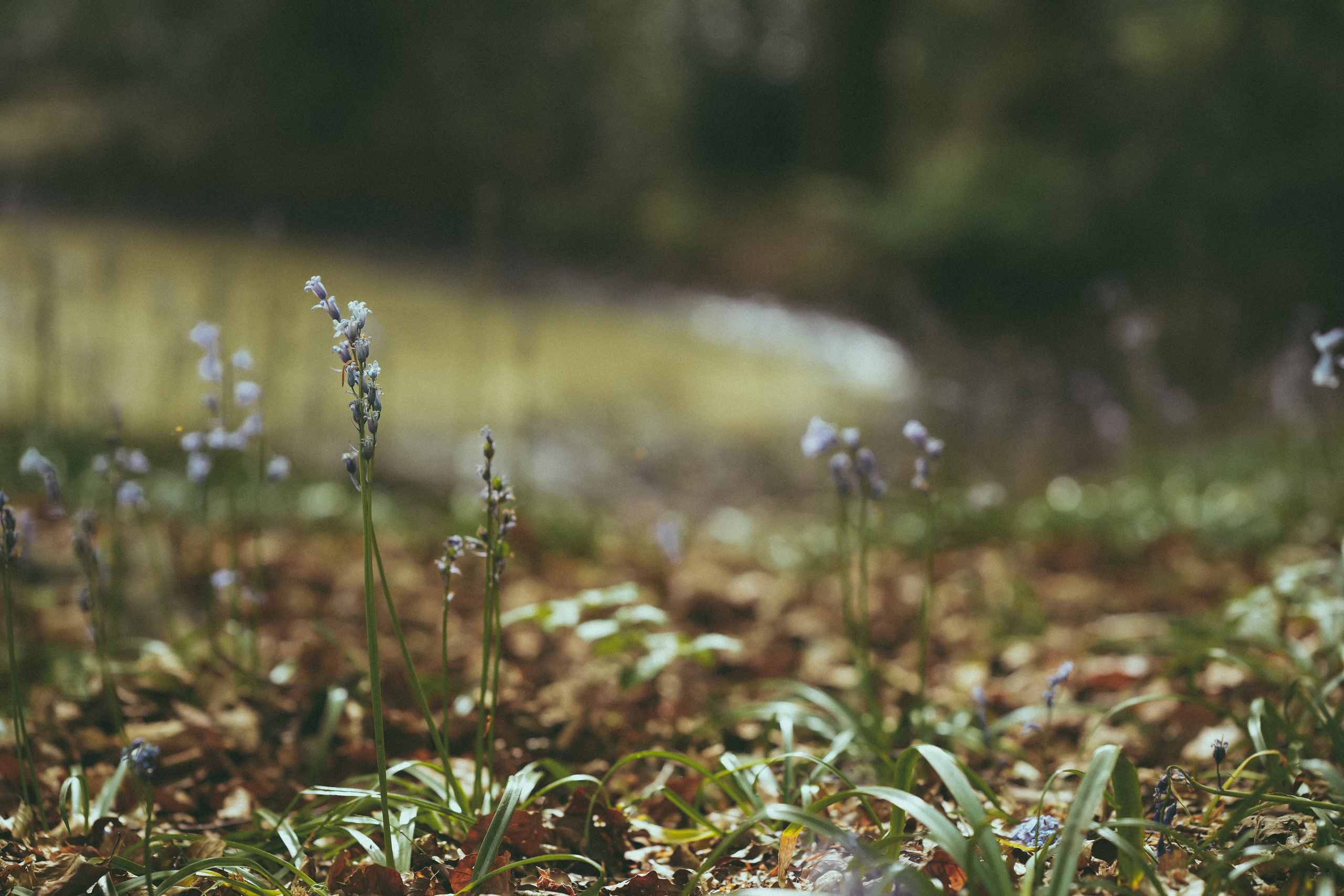 Ellie and Lauren. Creative Family, Brand, Boudoir and Wedding Photographer in Solihull & Birmingham Irina Zoteeva
