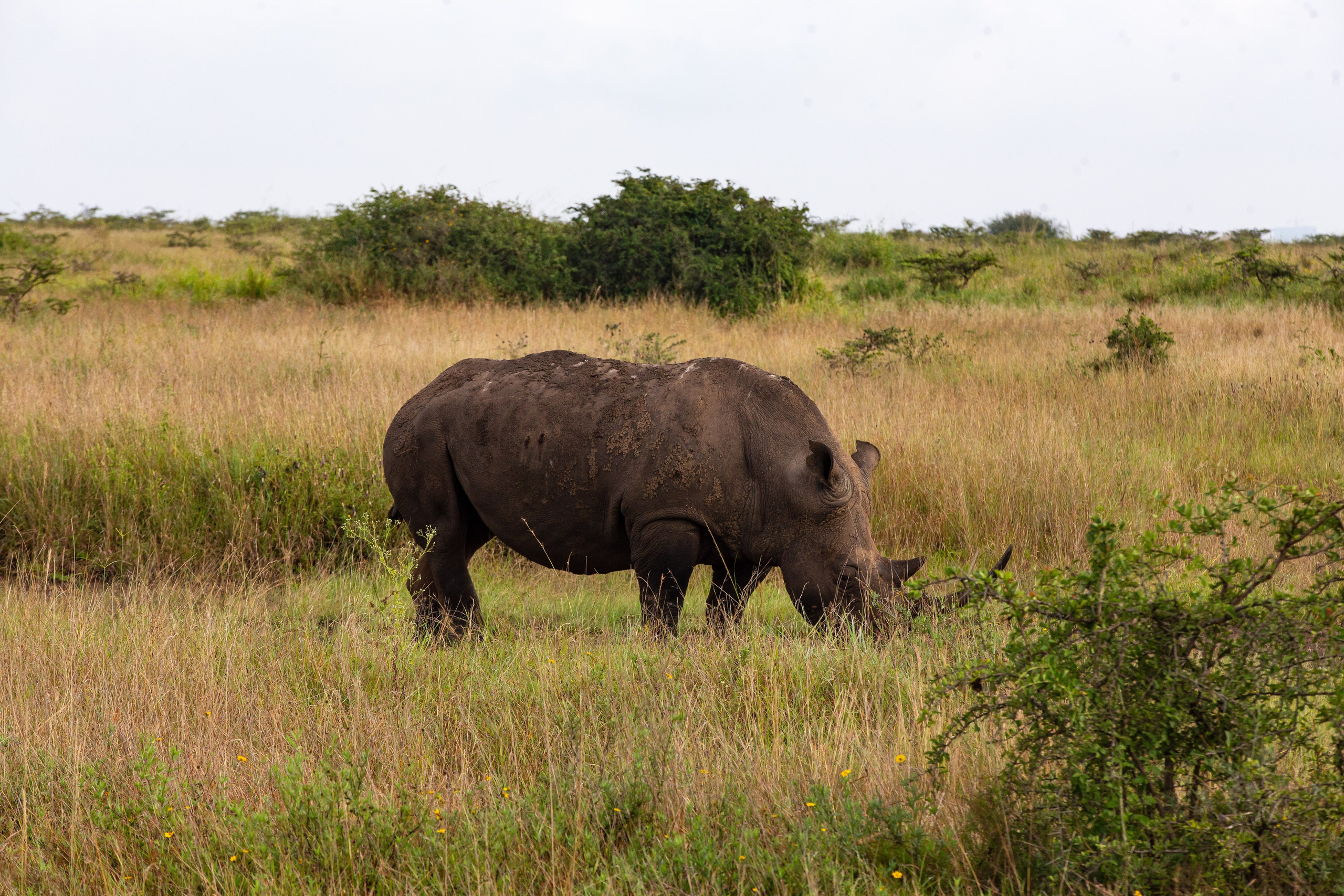 Corporate Event Photography. Nick Ouma Photography I Best Event photographer based in Nairobi, Kenya