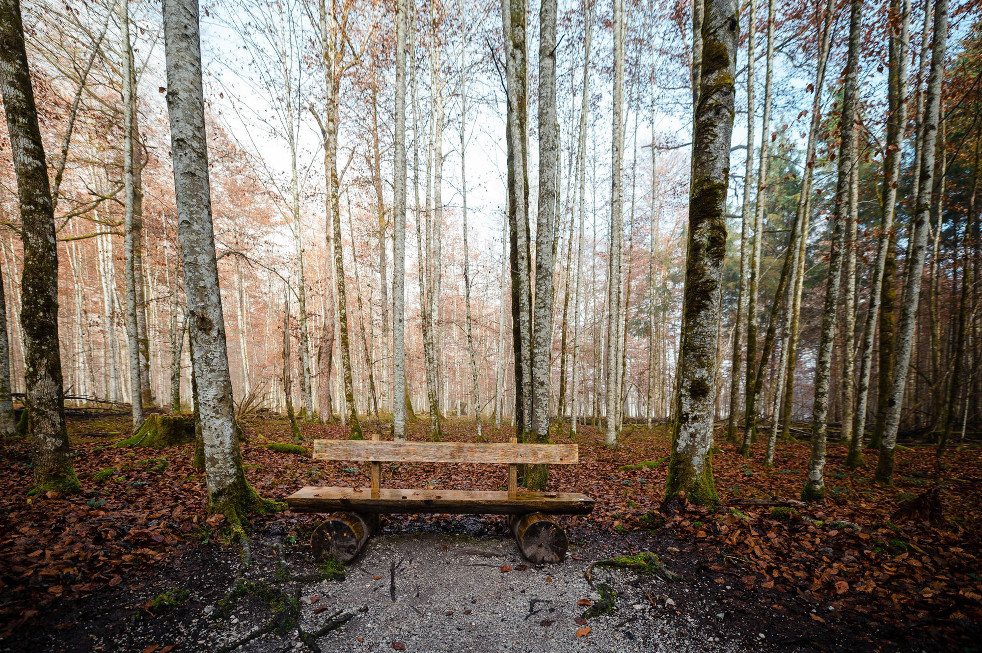 Eiskapelle Watzmann & Königssee | Abenteuer vor Österreichs Quarantäne