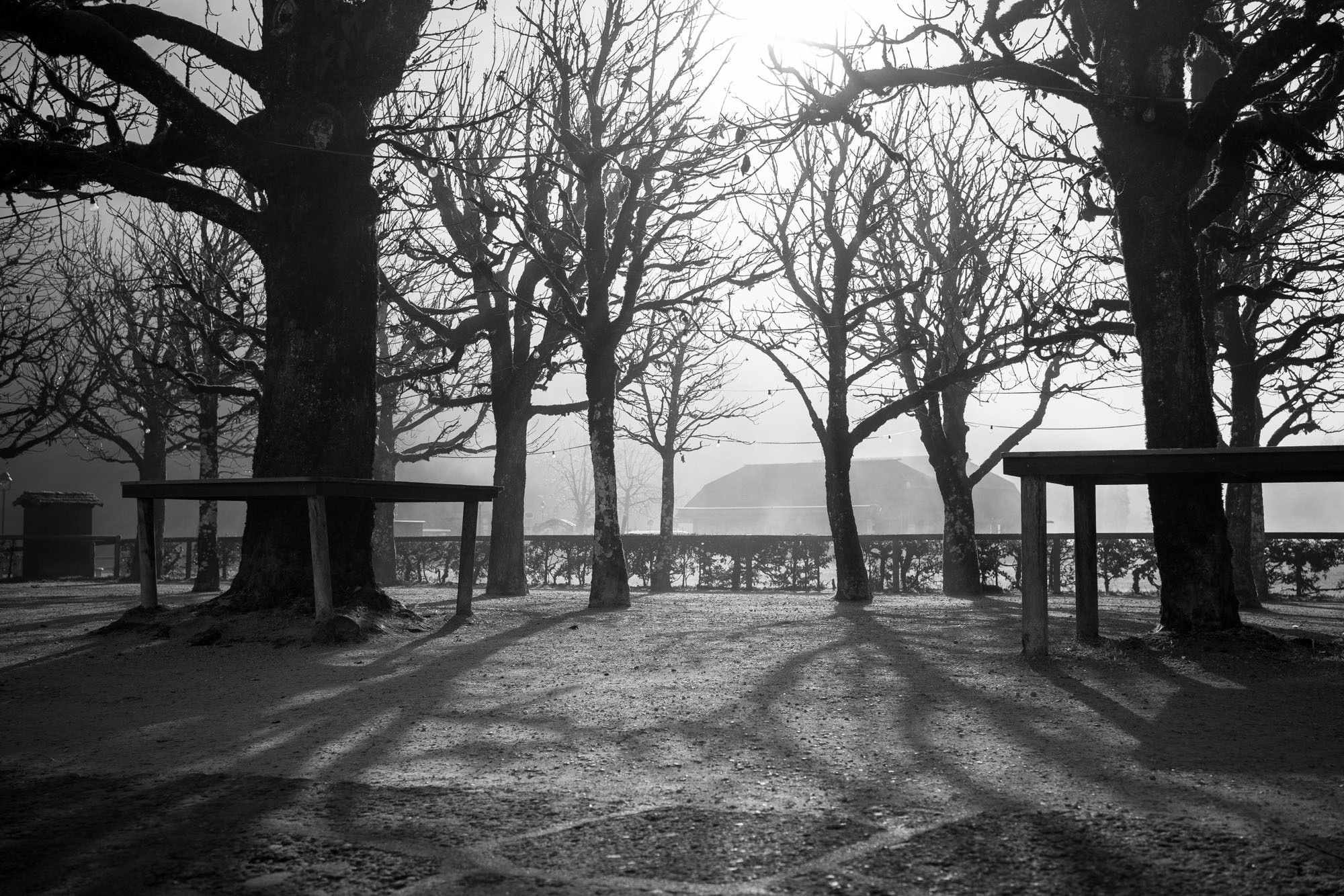 Eiskapelle Watzmann & Königssee | Abenteuer vor Österreichs Quarantäne