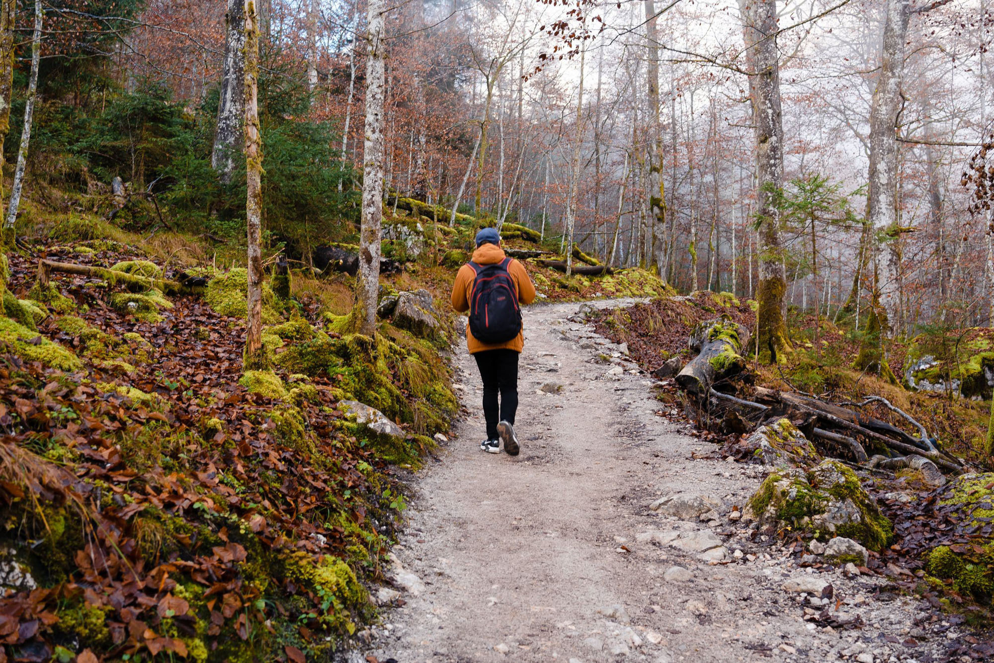 Eiskapelle Watzmann & Königssee | Abenteuer vor Österreichs Quarantäne