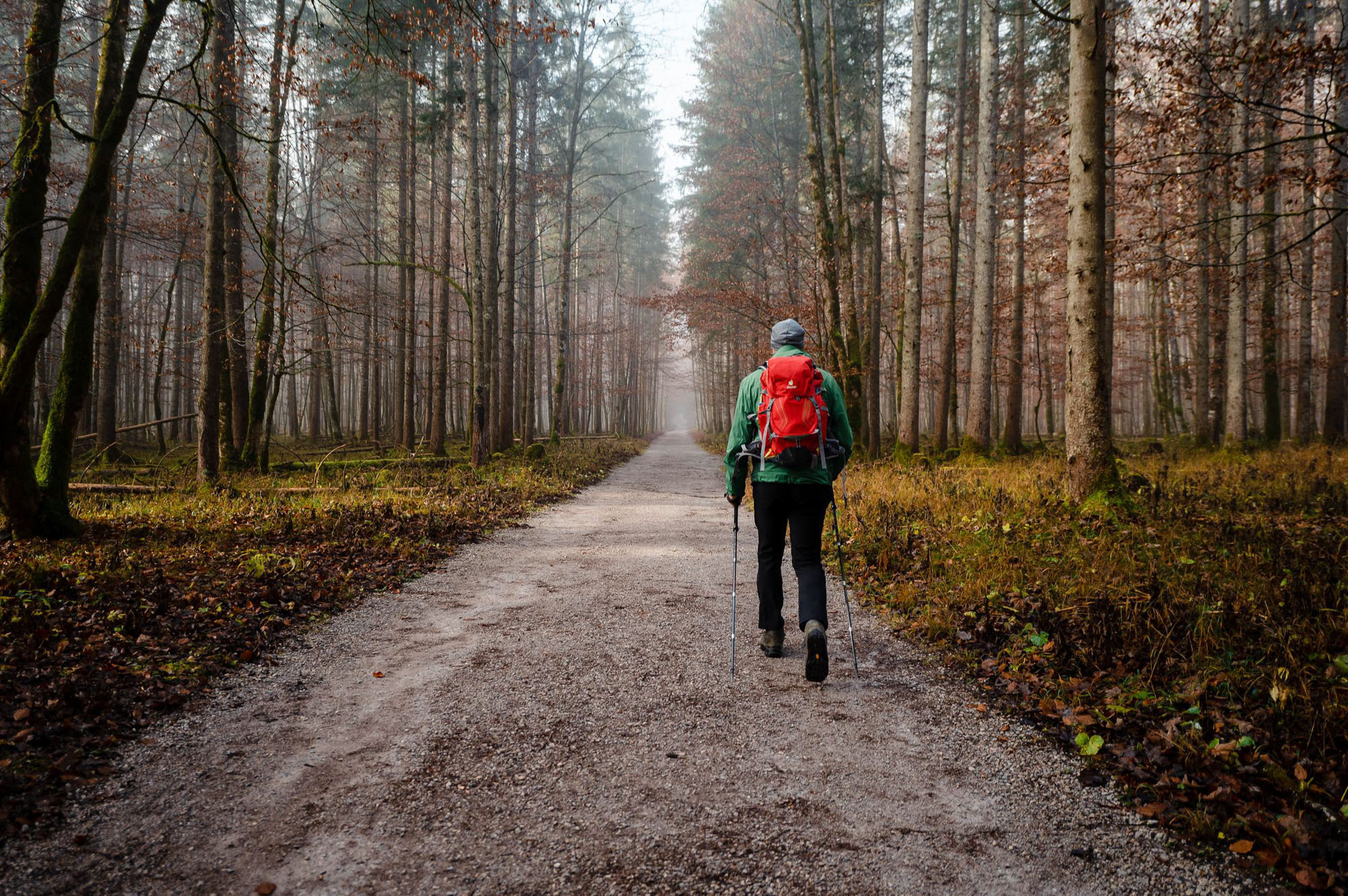 Eiskapelle Watzmann & Königssee | Abenteuer vor Österreichs Quarantäne