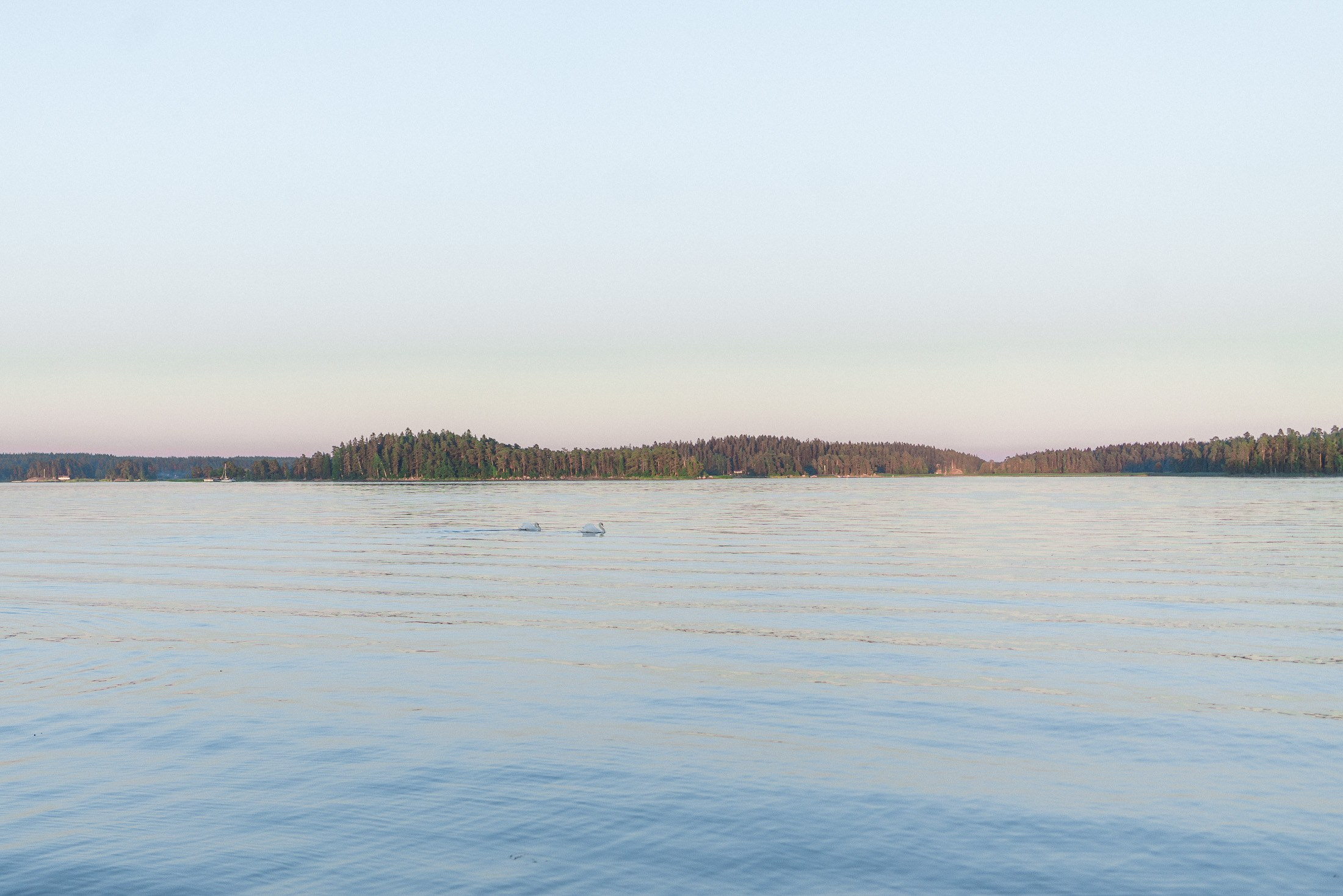 Fine Art Wedding Photography