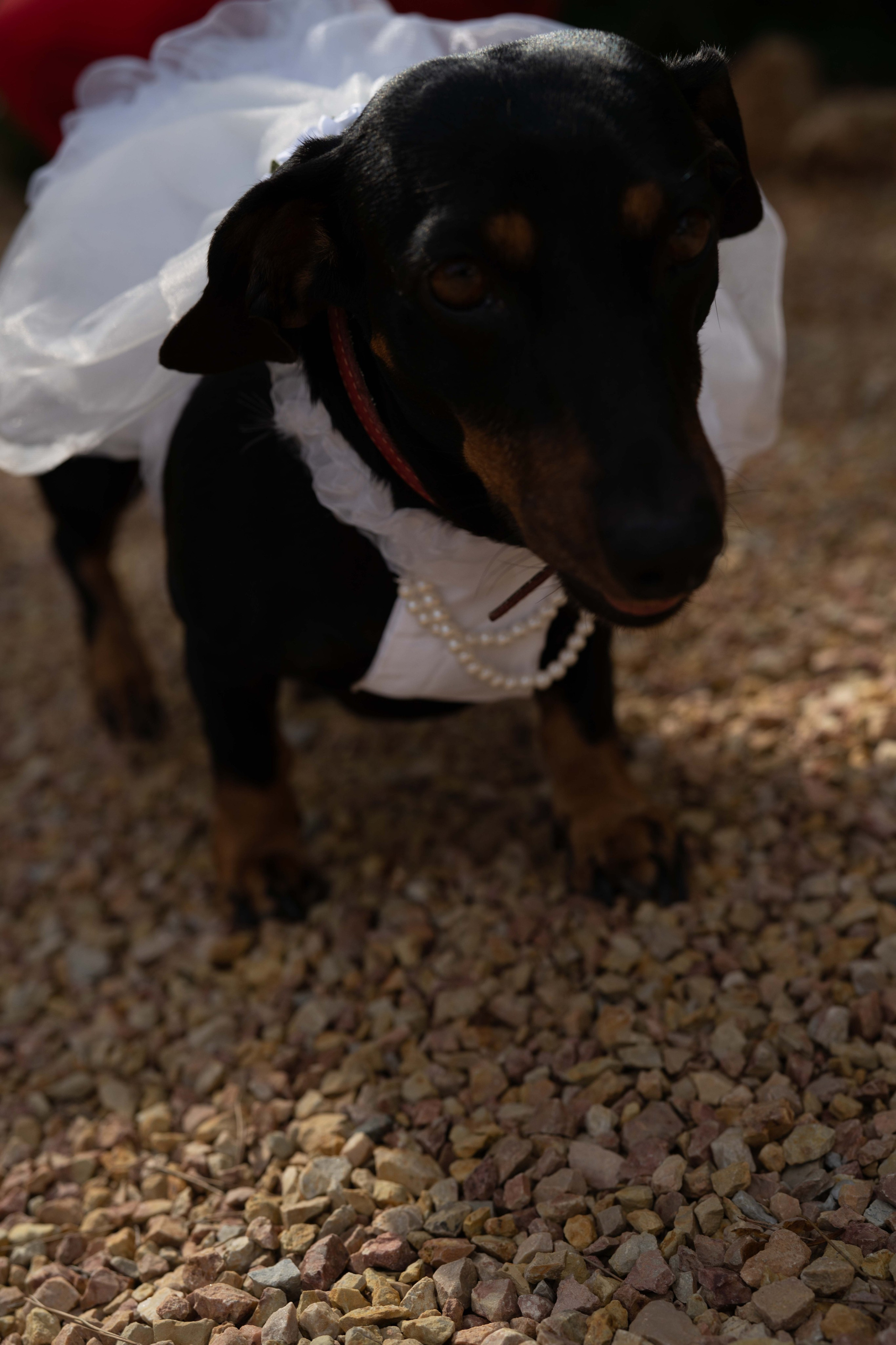 Wedding. Фотограф у Пальма де Майорка