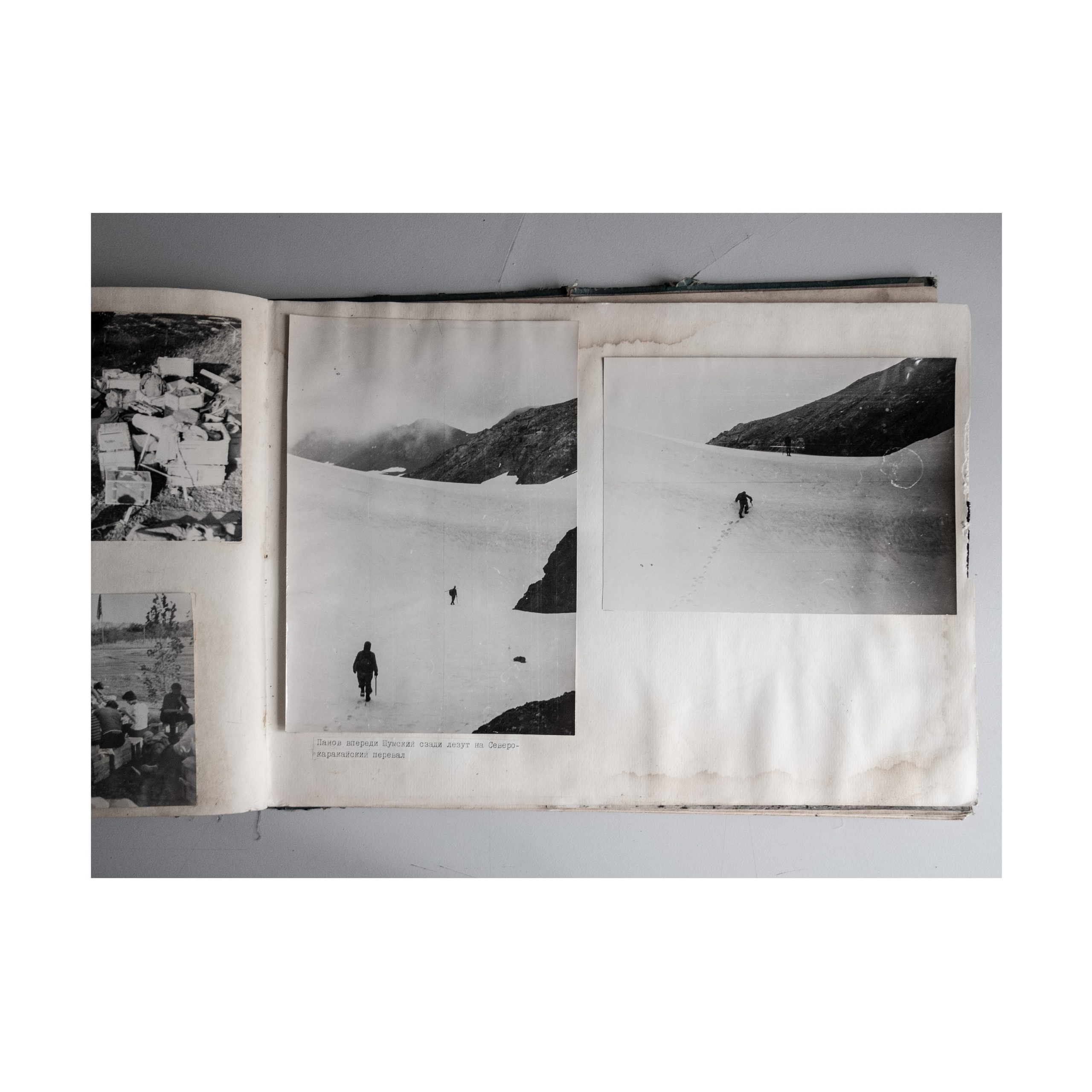 Willingness to freeze. Nelly Elagina