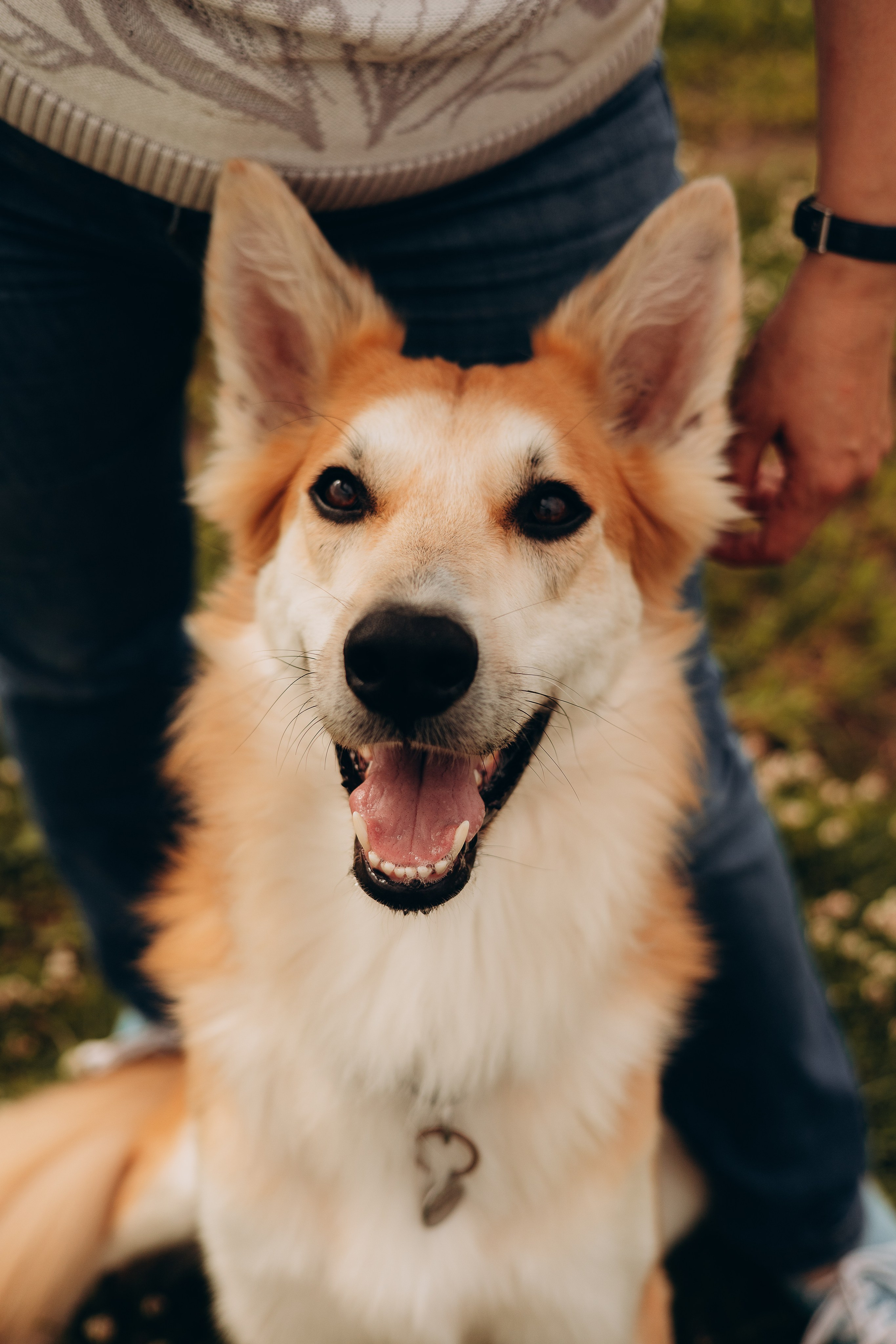 Обо мне. Фотограф-анималист | Белград
