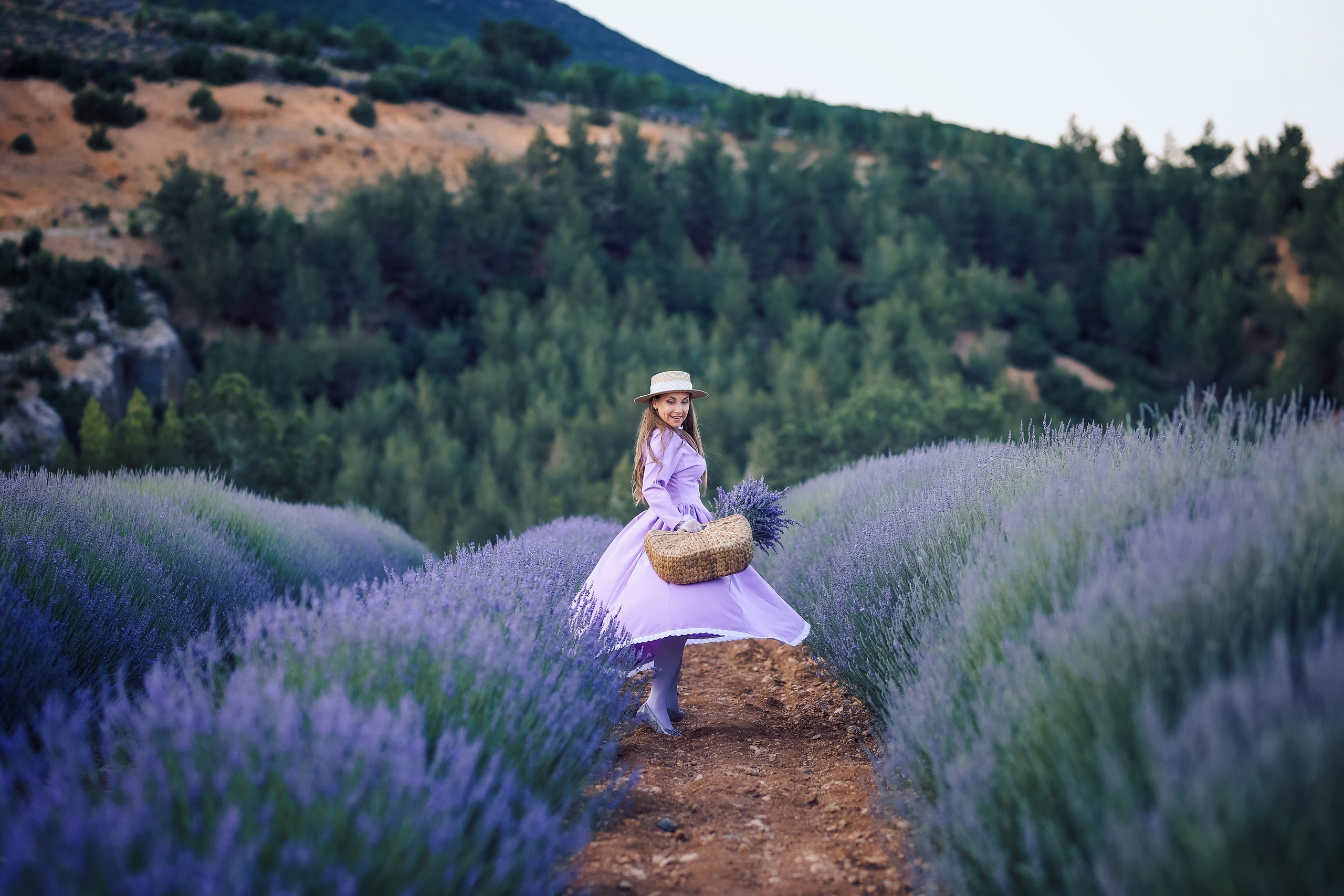 Lavender fields in Turkey. Photographer in Turkey, Antalya, Kemer, Belek, Side, Kas, Fethiye