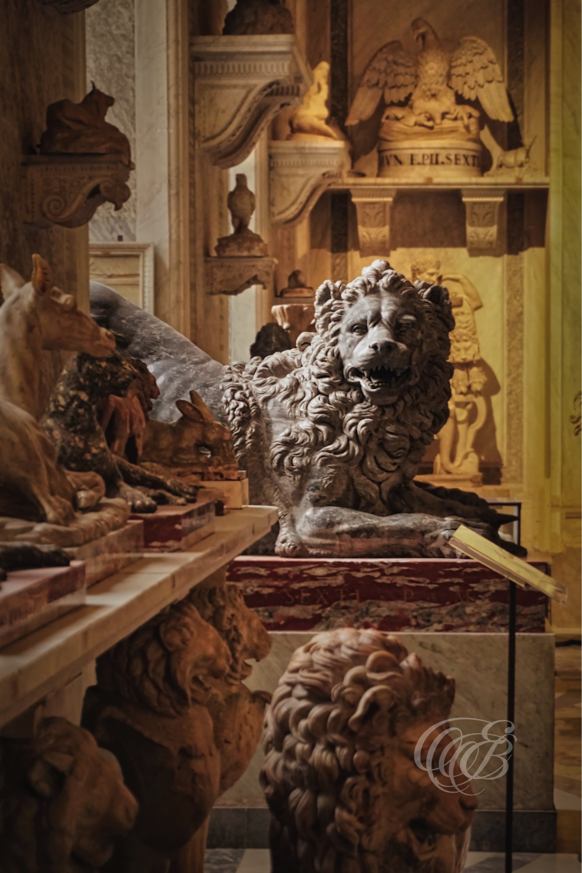 Rome, Italy – Vatican Museums Black Marble Lion – Eduardo Bartoli Fine Art Photography – Photograph of a black marble lion sculpture inside the Vatican Museums in Rome, ancient Roman artwork symbolizing strength and guardianship, polished stone detail – Rome, Italy – Vatican Museums Black Marble Lion – Eduardo Bartoli Fine Art Photography.