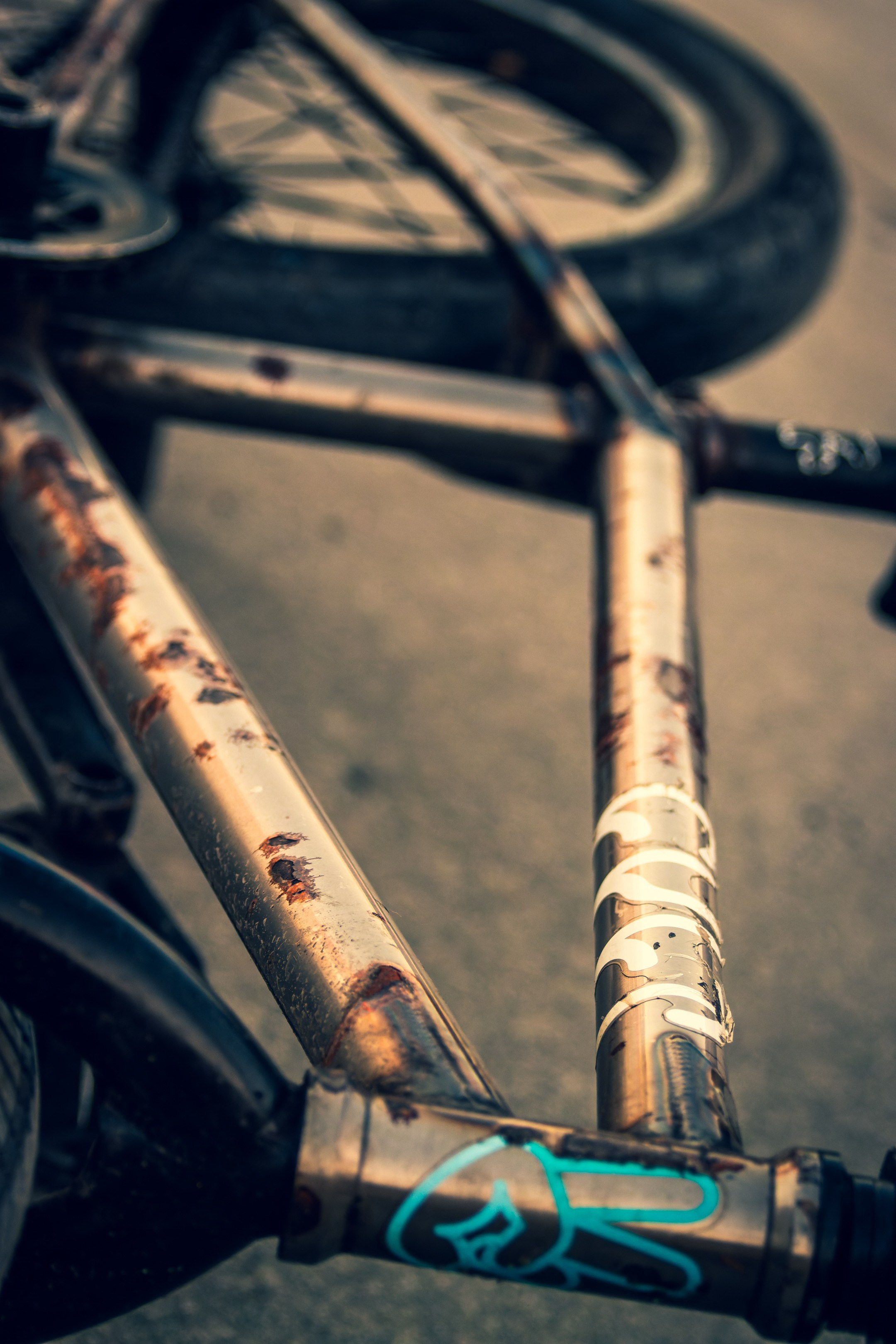 Nebula 25 — Fotod teie hingele