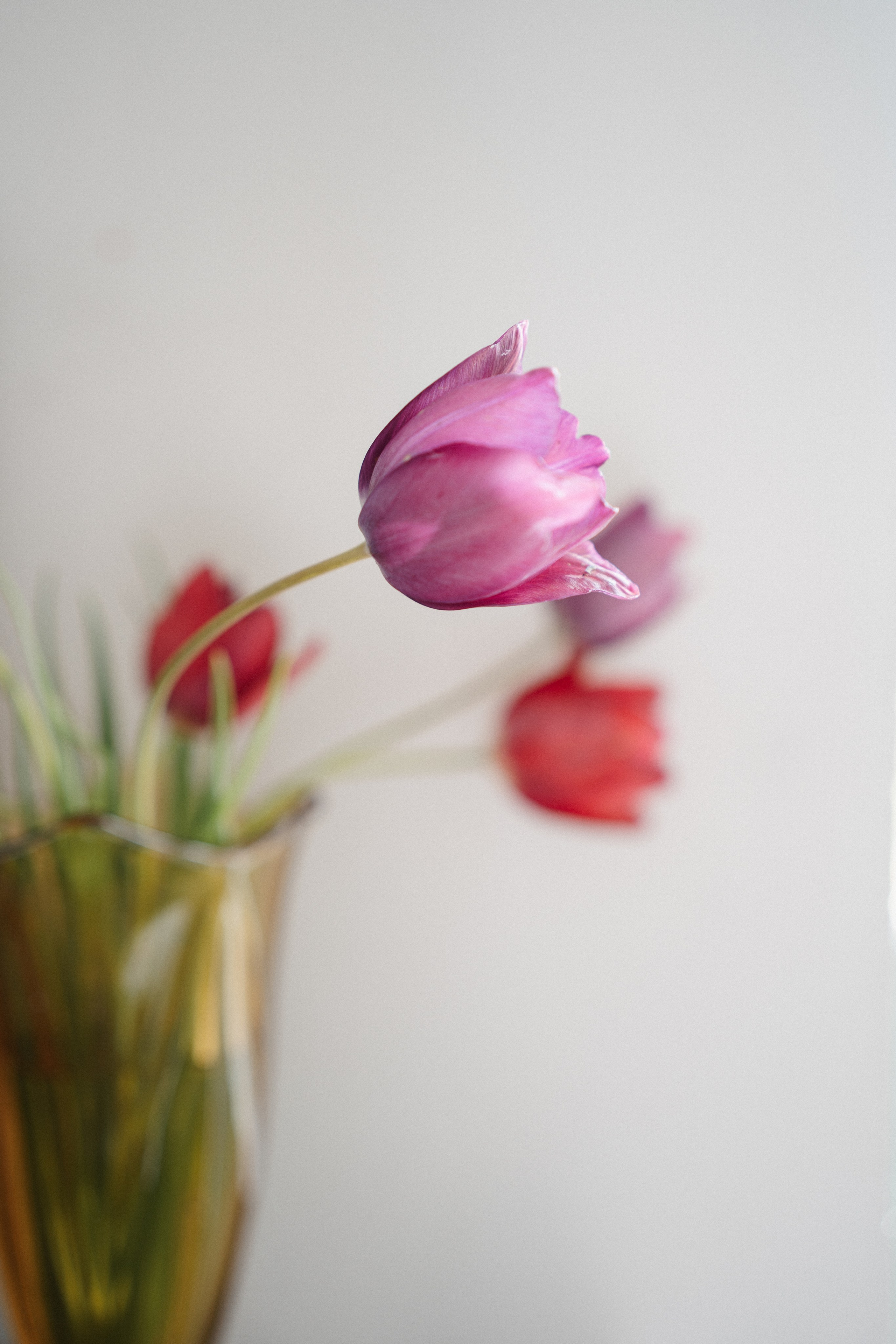 Blog | Fotografija, identitet i autentične priče, Staša Komatina. Dokumentarna fotografija venčanja, porodice i brend priča u Srbiji | Staša Komatina