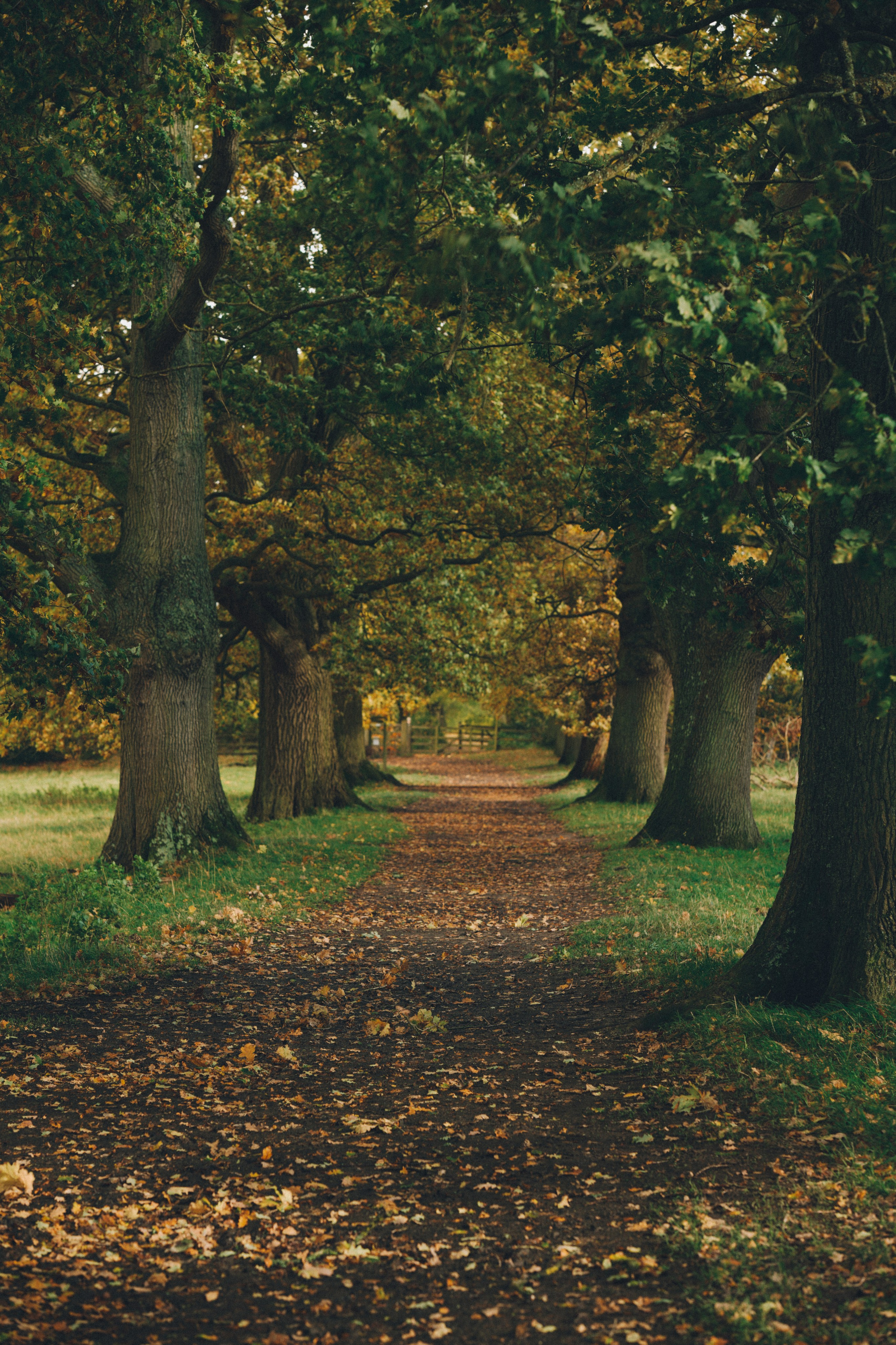 Brand photography in National trust. Creative Family, Brand, Boudoir and Wedding Photographer in Solihull & Birmingham Irina Zoteeva