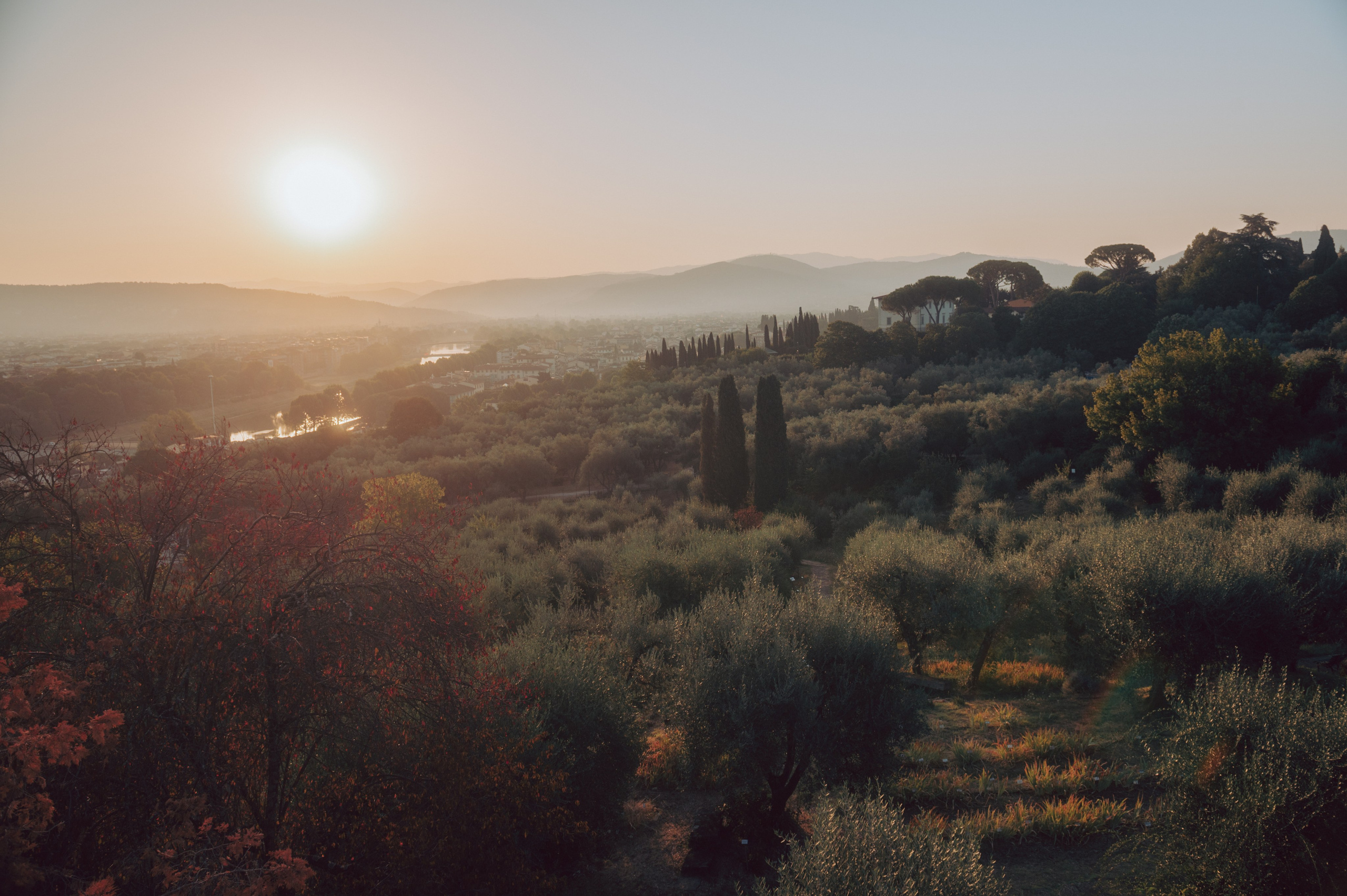Summer morning in Florence. AnaMilanoFoto | Couple & Wedding Photographer in Milan