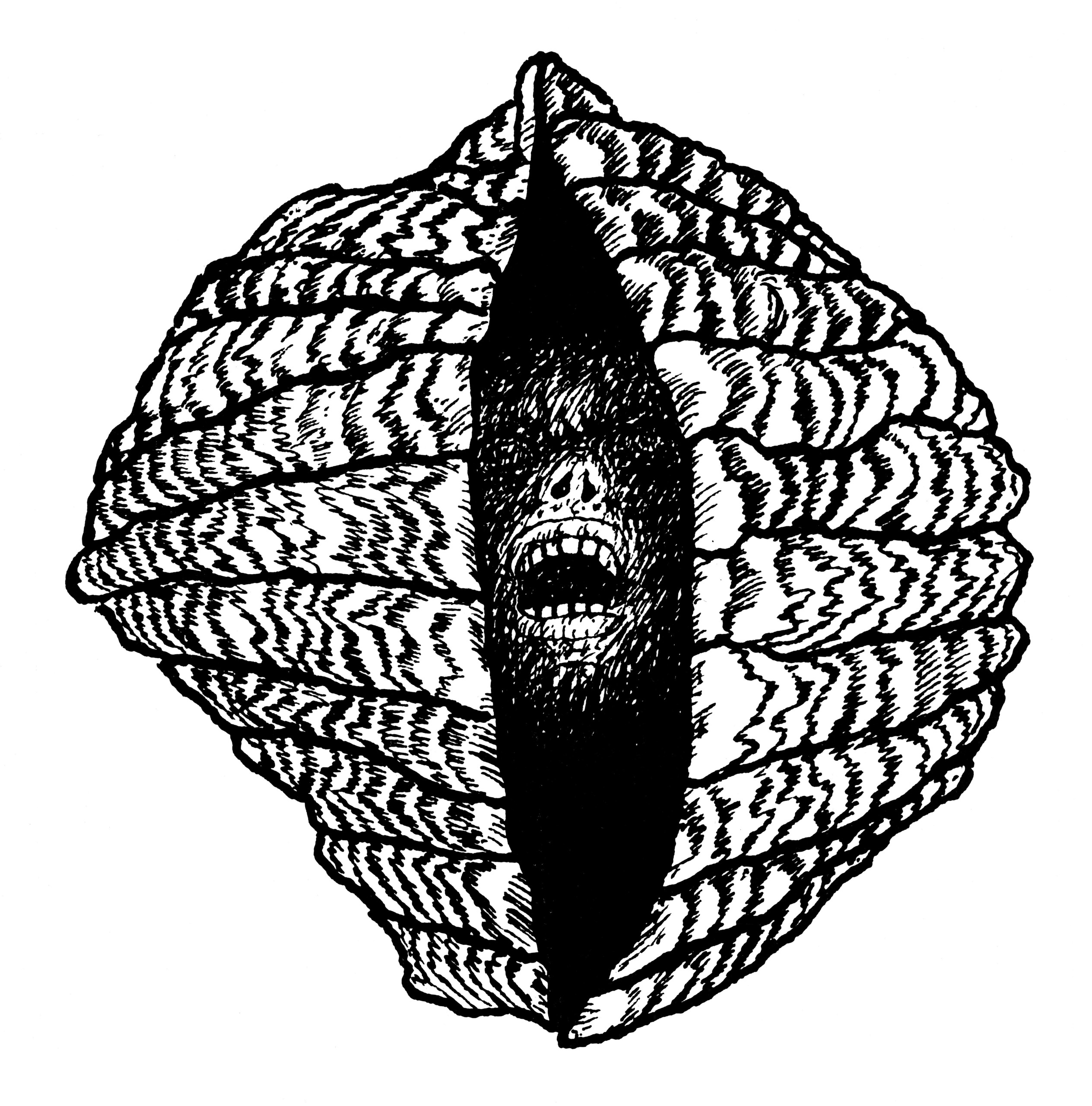 fragment, Muszloportrety II, tusz, 1975, Muzeum Sztuki w Łodzi