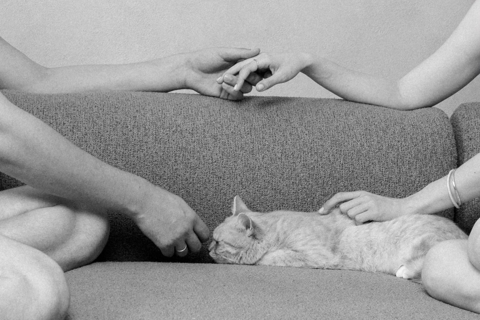 Poros ir šeimos. Framed by Evelina | Vestuvių fotografė