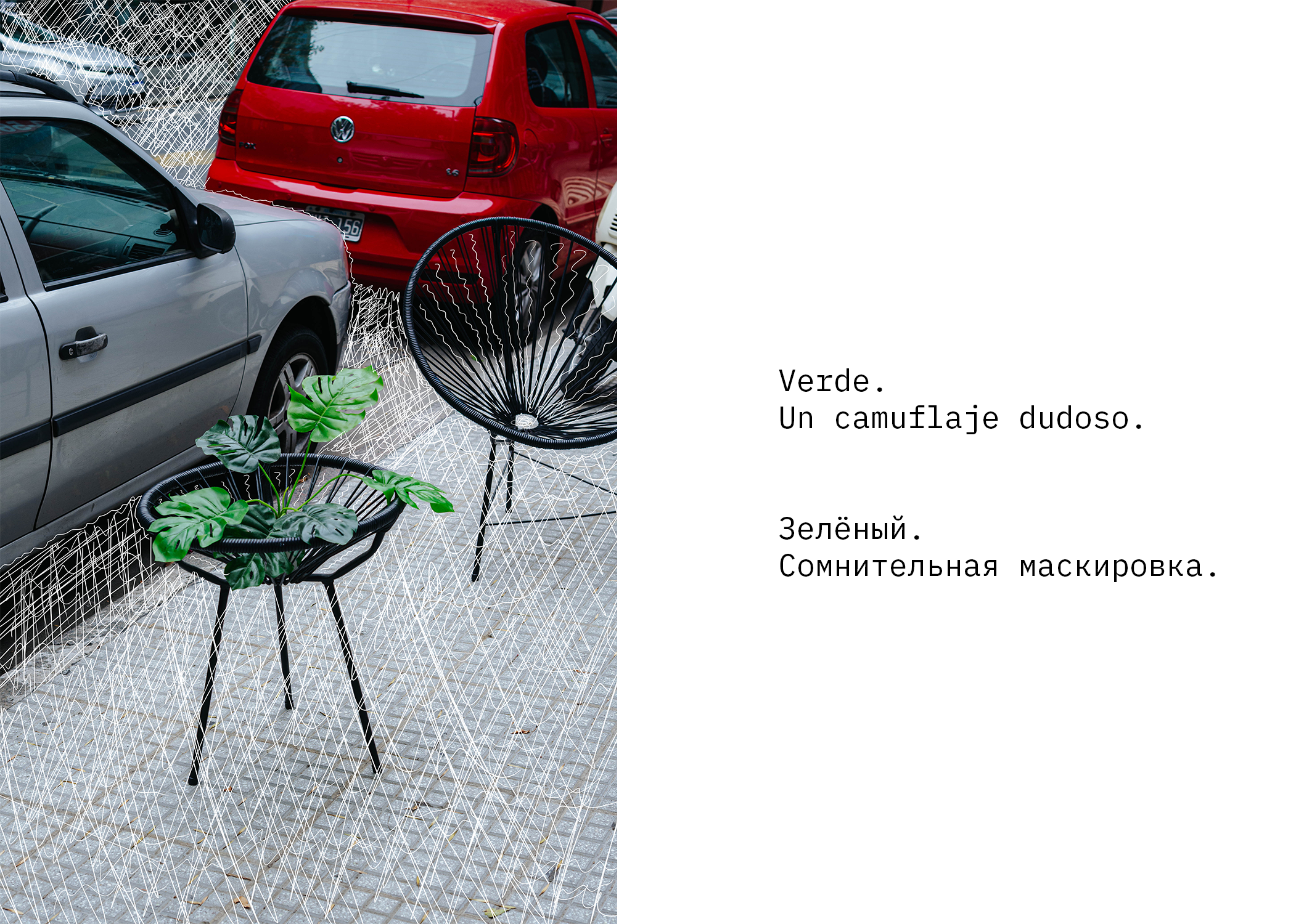 Perla. Los colores. Photographer @elmirkami in the city of Buenos Aires