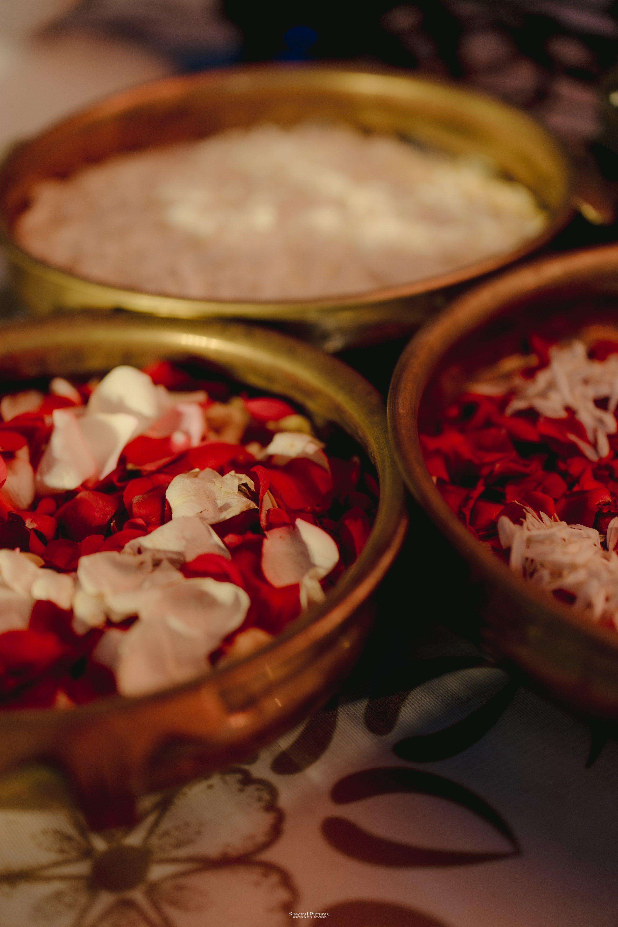 #THEPURALOVESTORY is a journey of two hearts growing in sync, across seasons, challenges, and memories