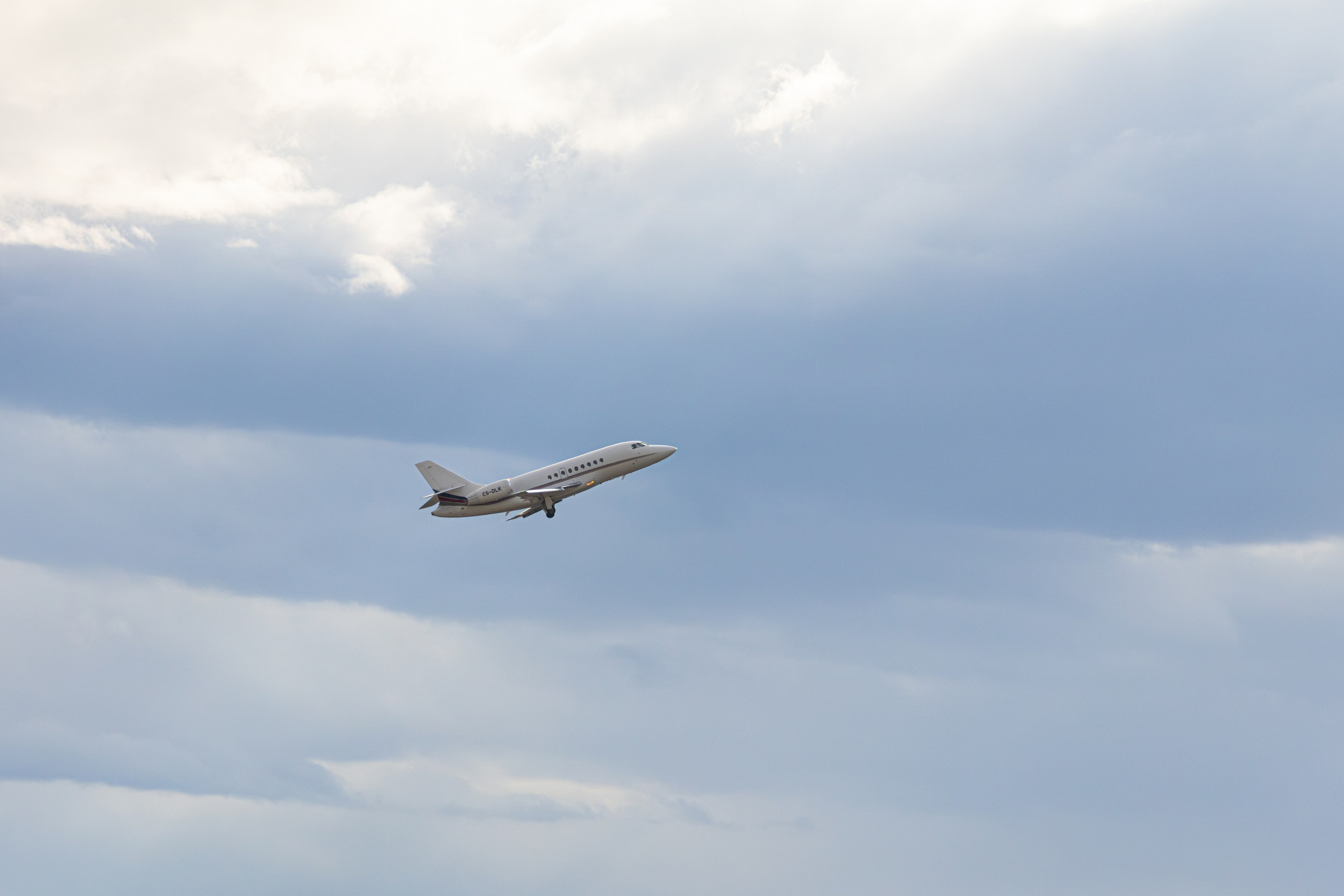 ფრთა ბუმბულისა და ფრთა რკინისა. FramefreeMan