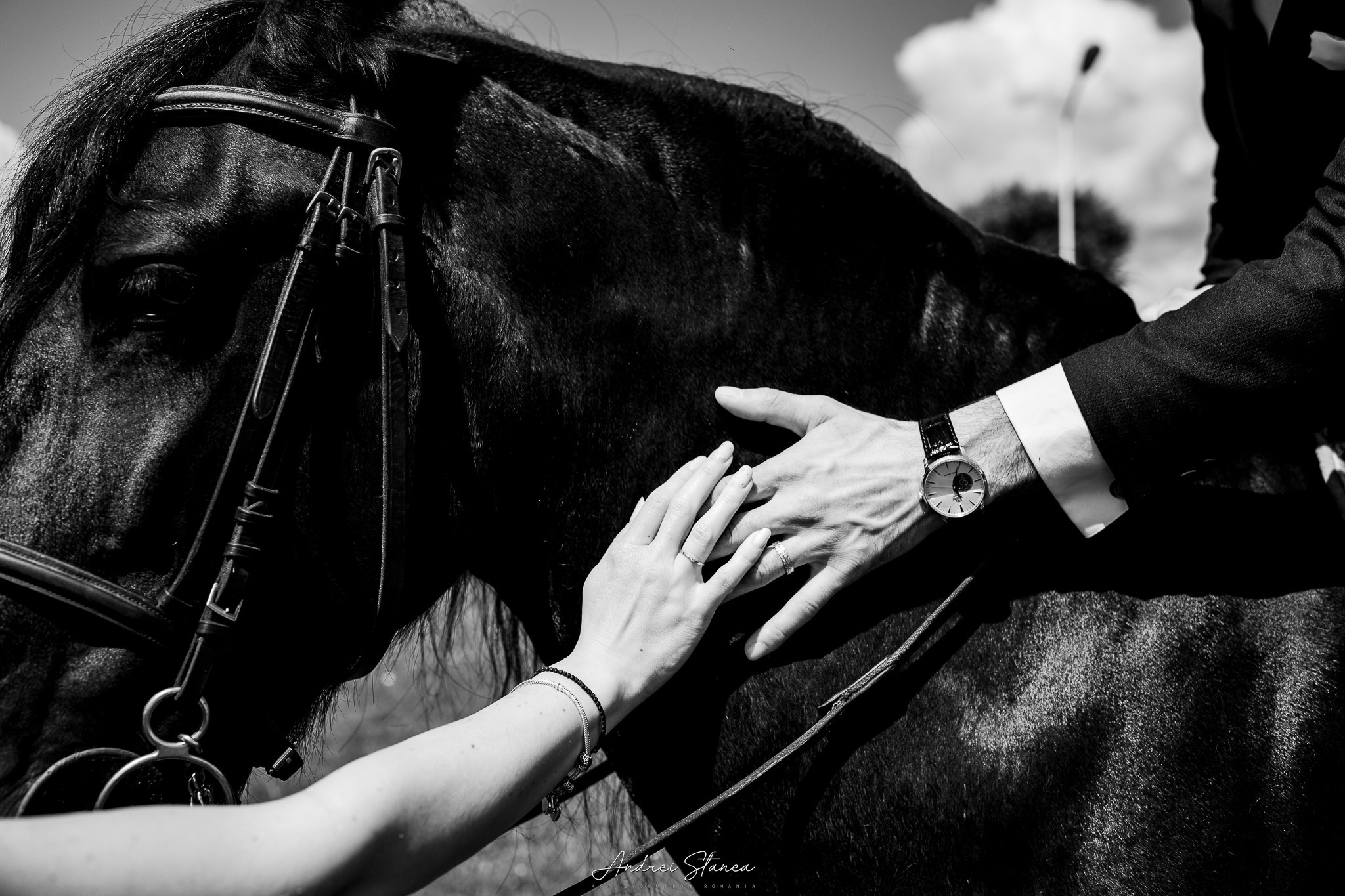 Edi & Oli. Andrei Stanea