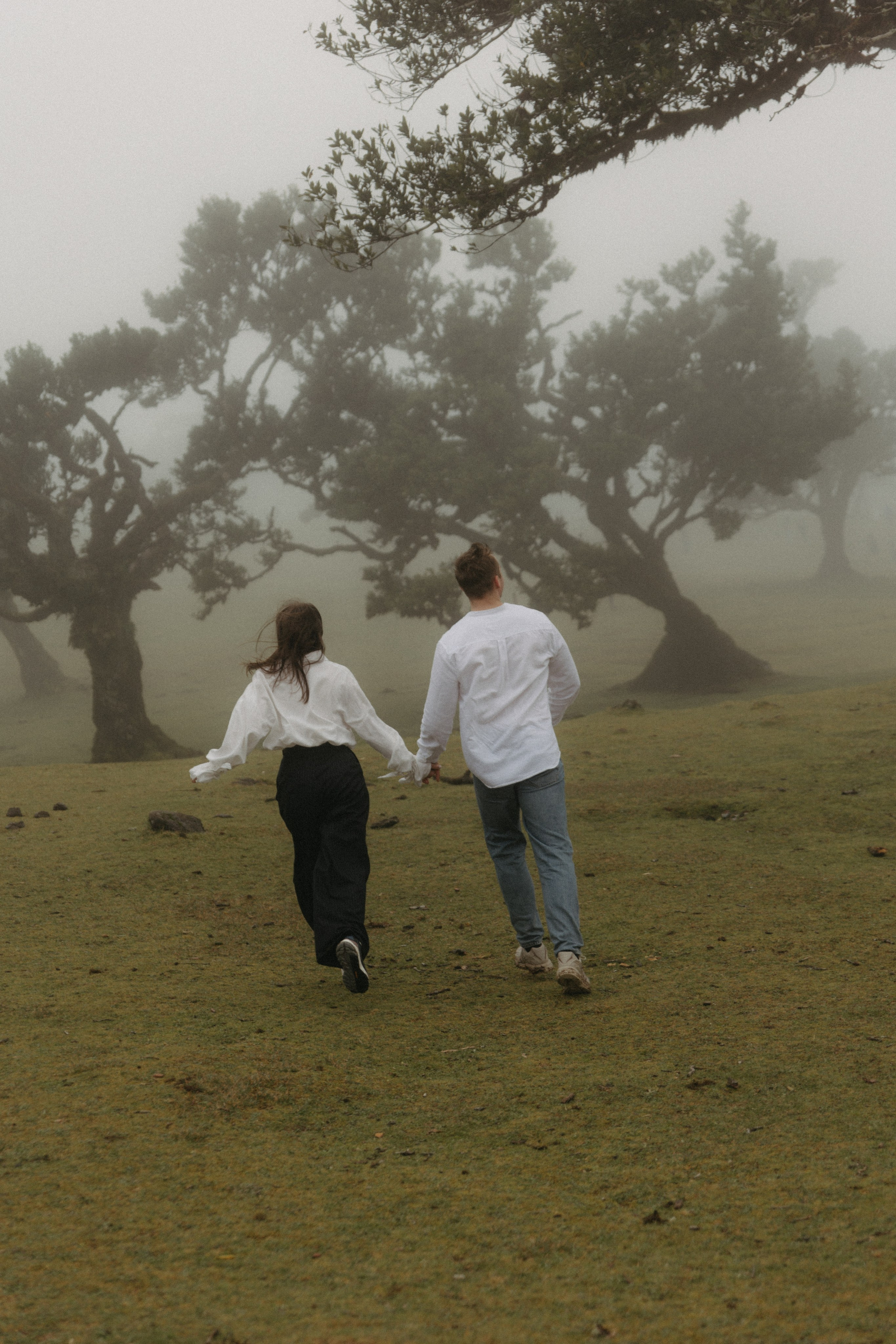 Magic of Fanal Forest. Wedding photographer and videographer based in Timisoara, Romania