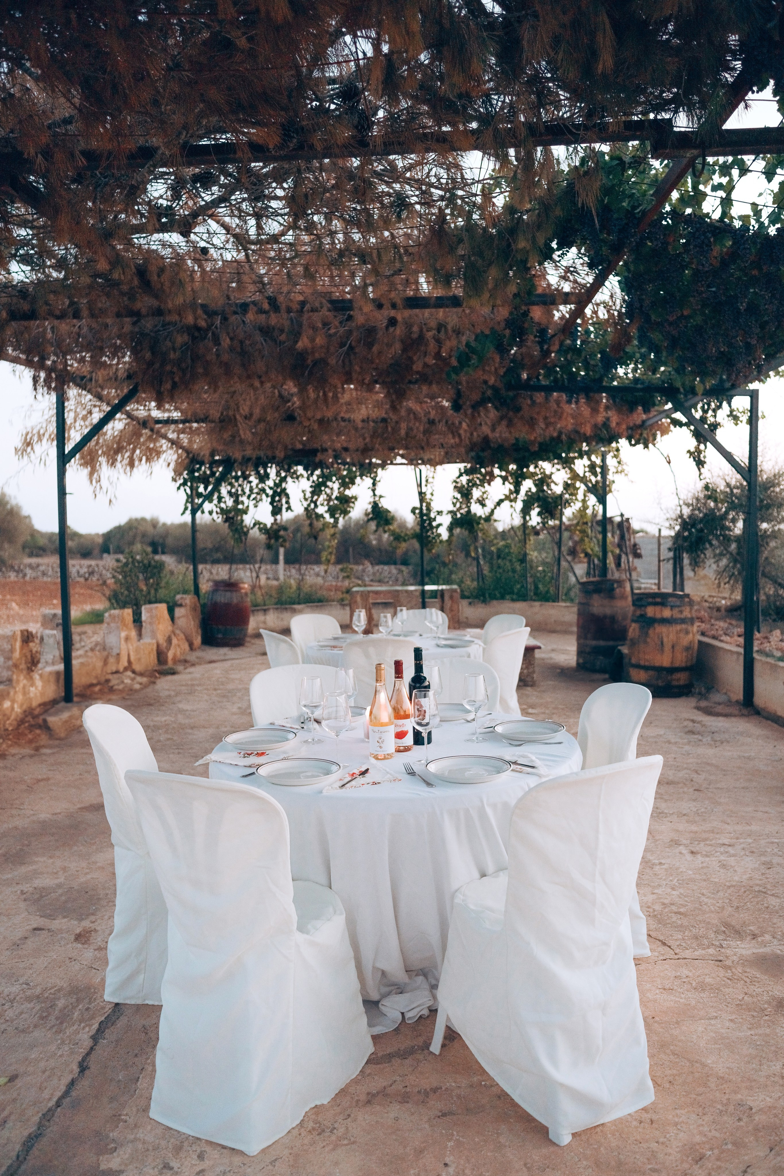 Bodega. Photographer in Mallorca