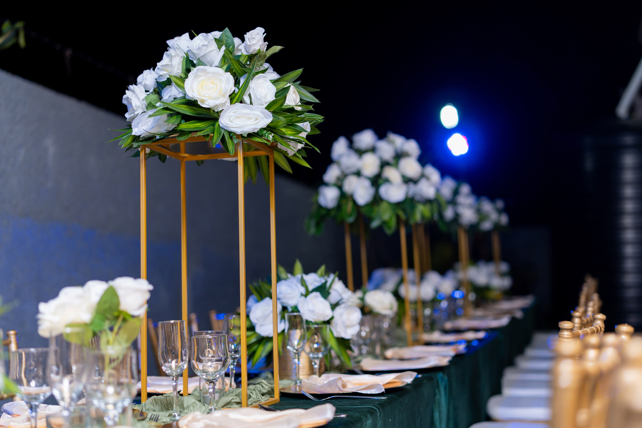 Test. Luminous Entertainment Ja