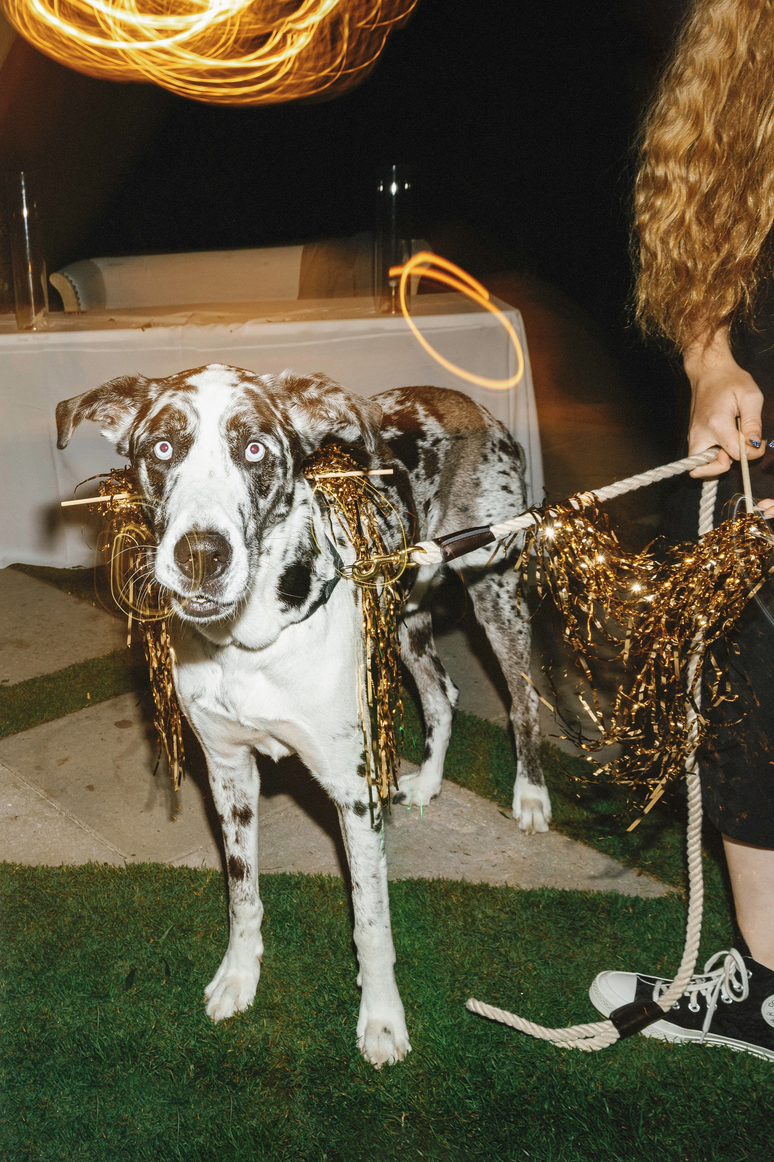 Heather and Cameron’s Wedding Day. Wedding Photography & Videography Team in California, Los Angeles, San Francisco, San Diego and Travel