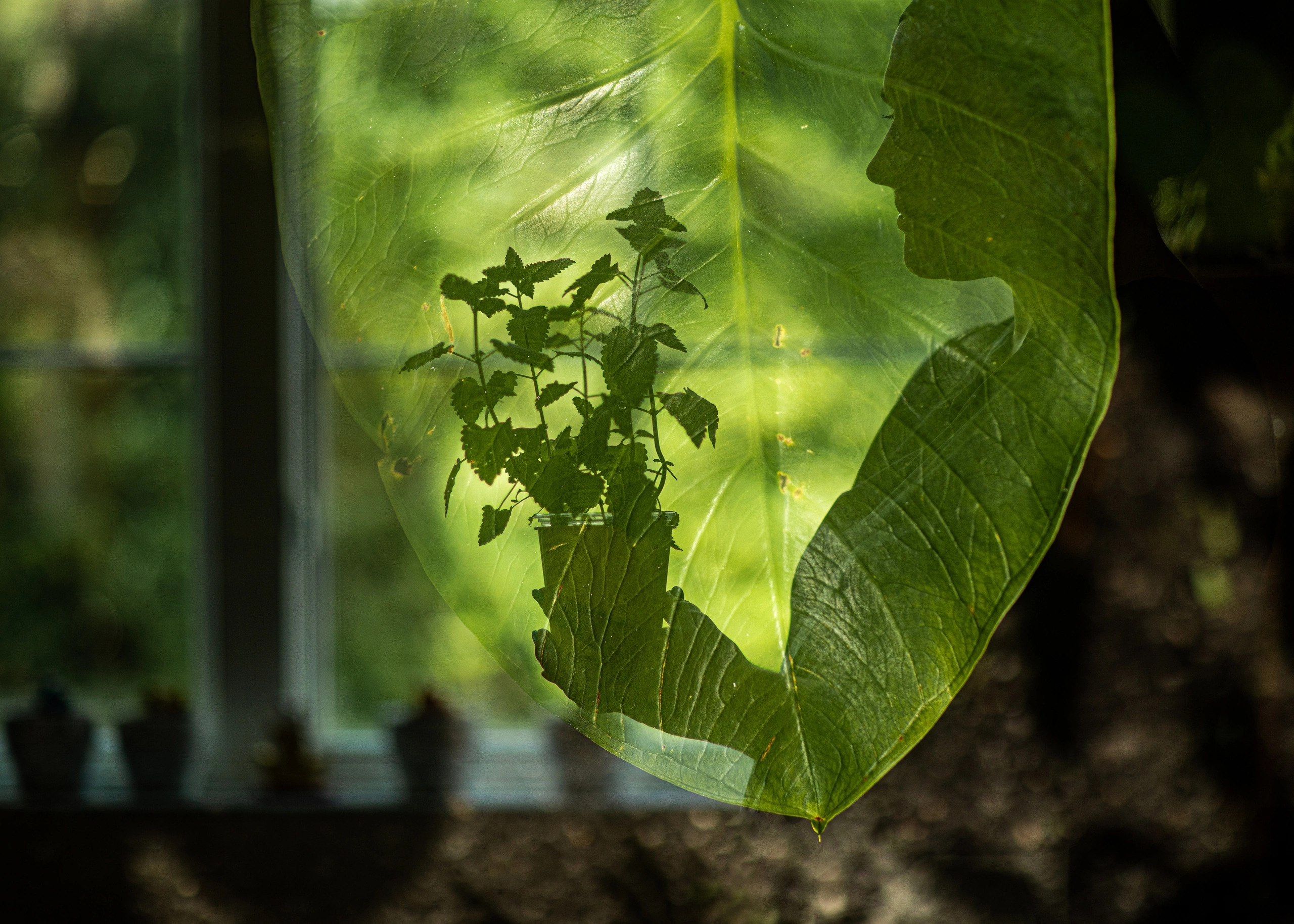 Bio. Fine Art Photography by Ksenia Mirnaya