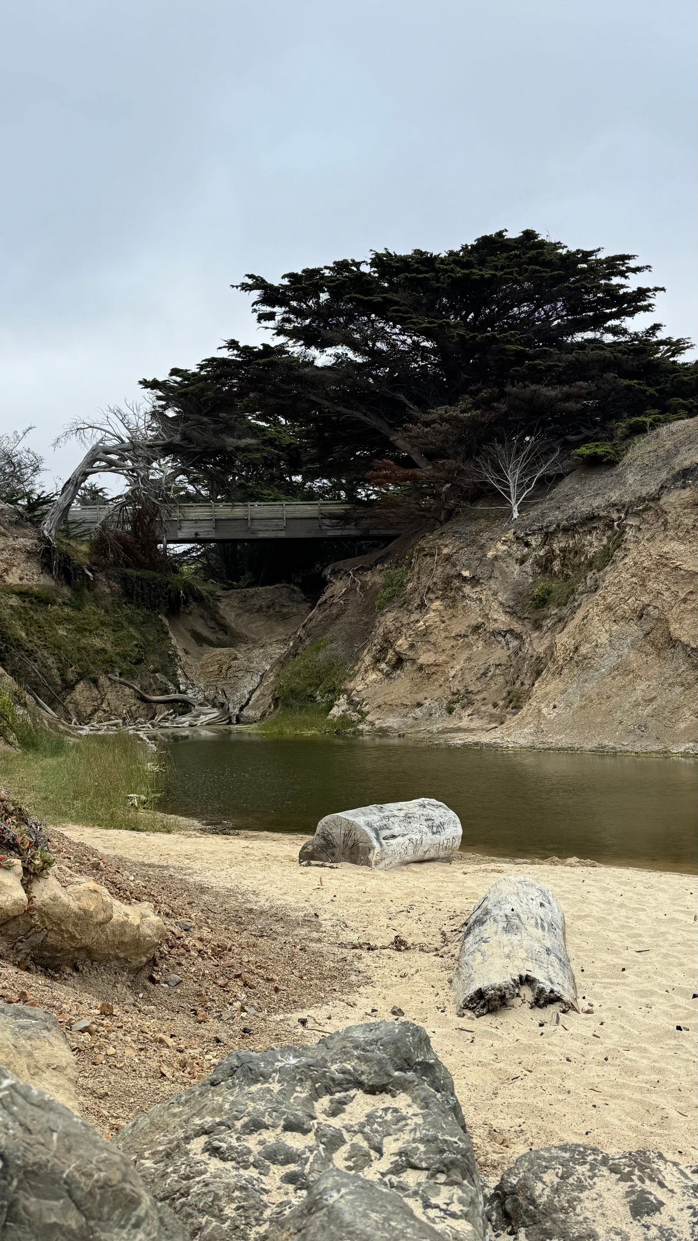 Bay Area Beach Guide for Photoshoots | Best Beaches for Maternity, Couples & Family. Maternity, newborn photographer in the Bay Area|Iryna Rakivnenko