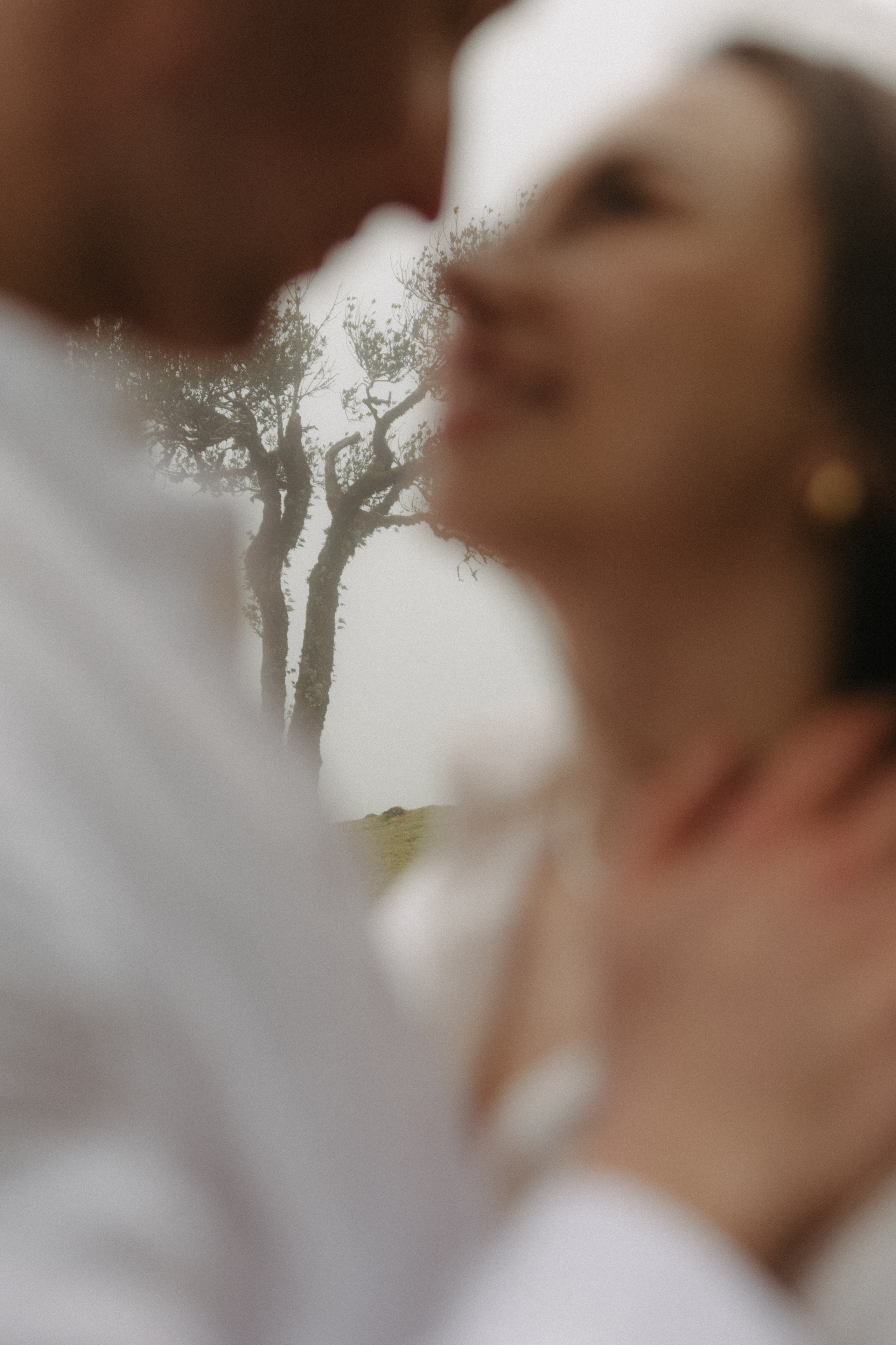 Magic of Fanal Forest. Wedding photographer and videographer based in Timisoara, Romania