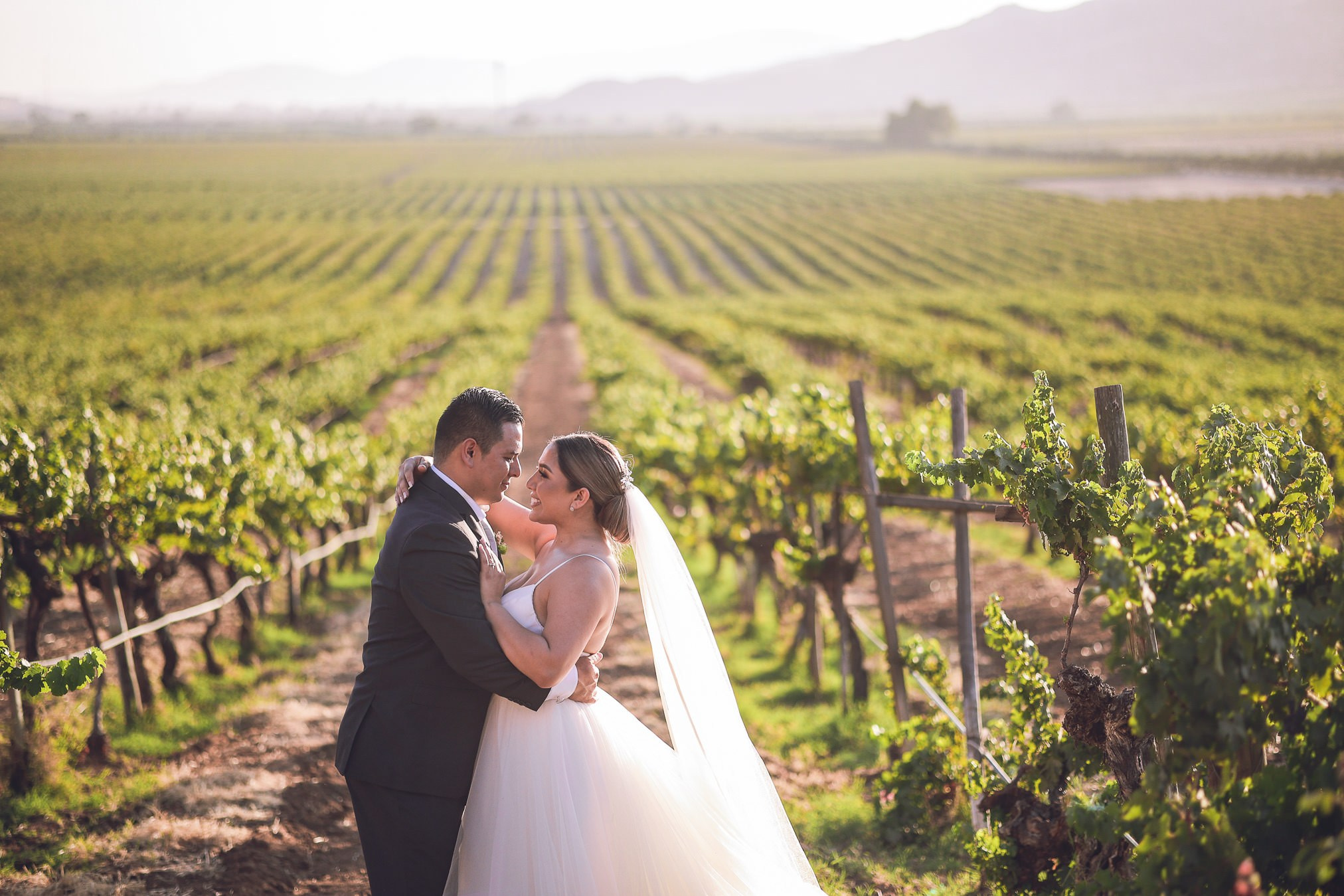 LA Cetto Valle de Guadalupe Boda Araceli e Israel. Estudio de fotografia en Tijuana
