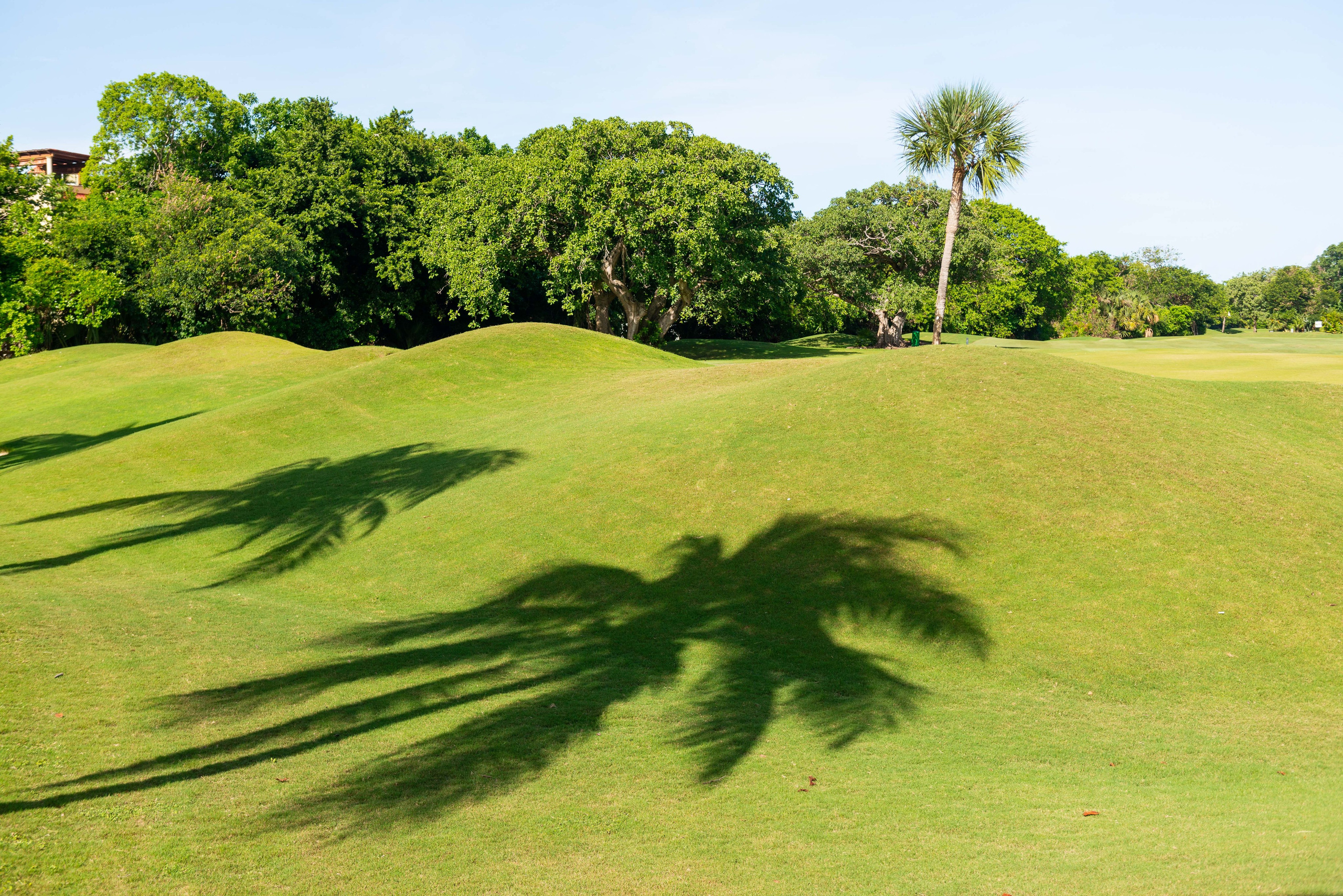 Sesión de Fotos Familiar de Embarazo: La Espera de un Nuevo Milagro. FOTÓGRAFO MÉXICO QUINTANA ROO