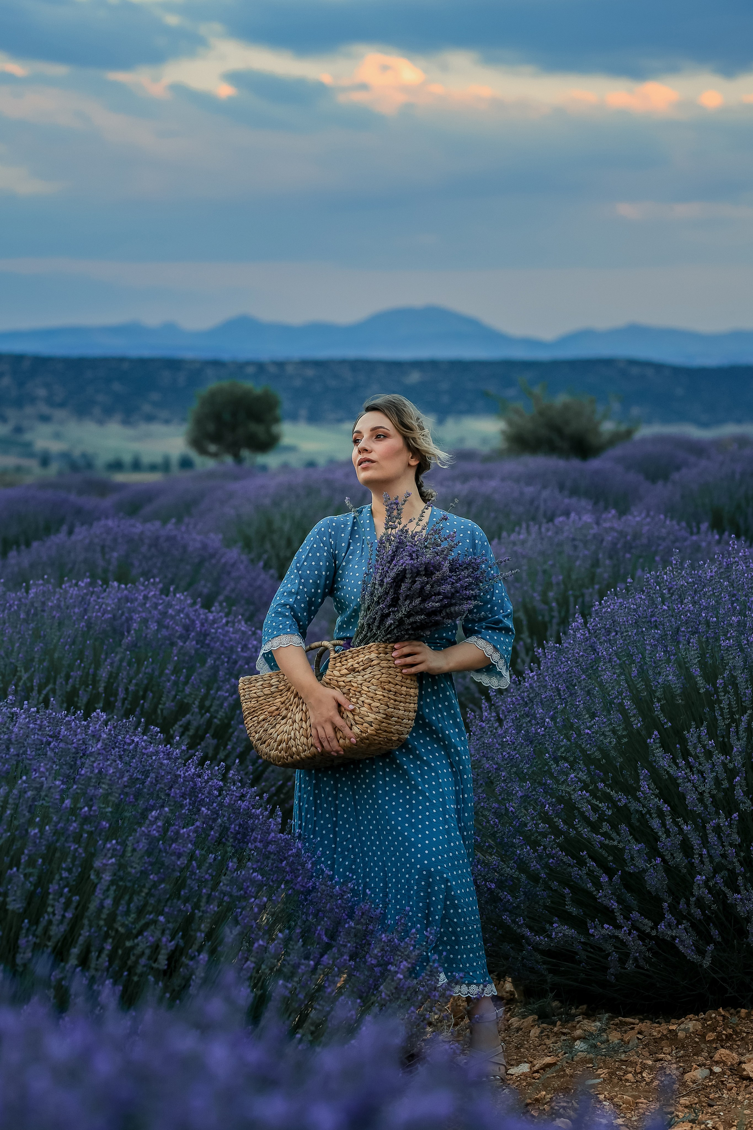 Lavender fields in Turkey. Photographer in Turkey, Antalya, Kemer, Belek, Side, Kas, Fethiye