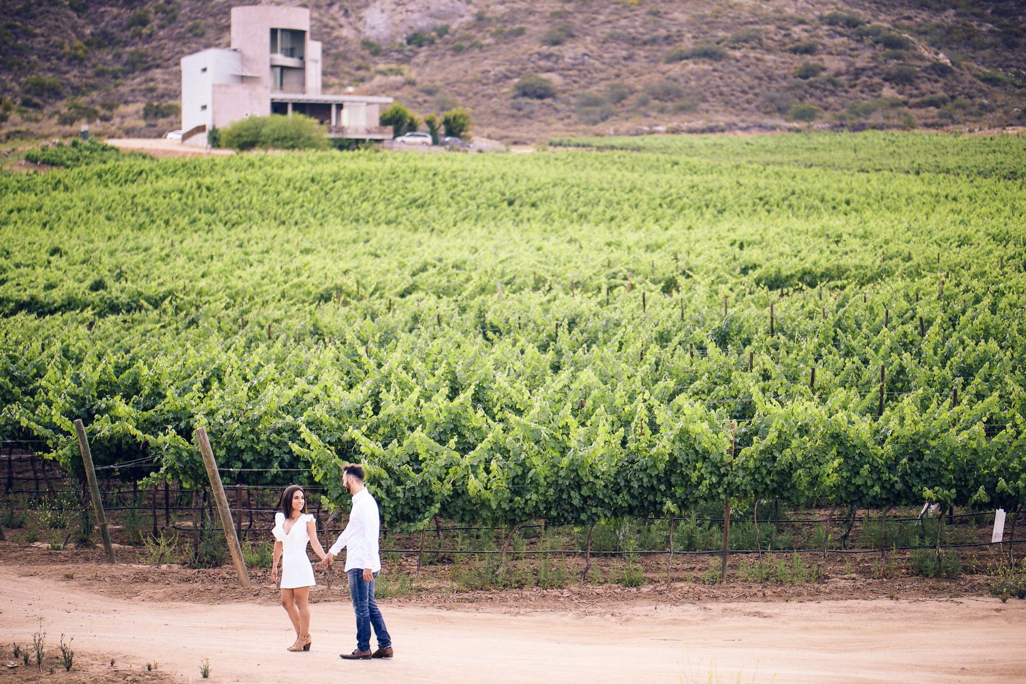 Hilo Negro Valle de Guadalupe Save The Date Ruth y Matt. Estudio de fotografia en Tijuana