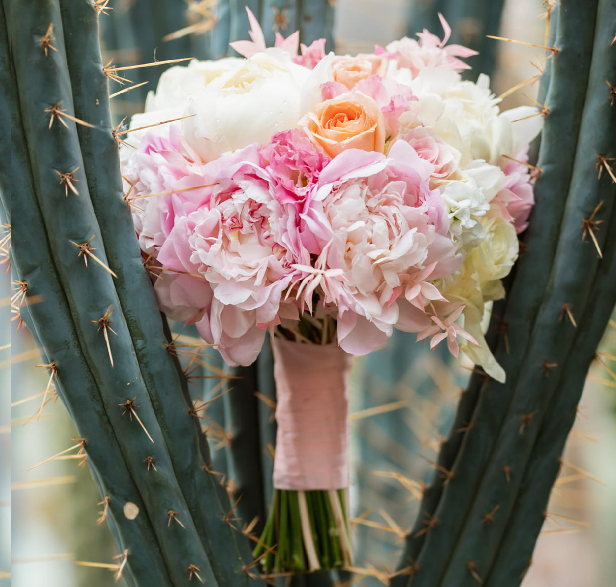 Event design, decoration, floristry, gift, Irina Novika, Riga, Latvia