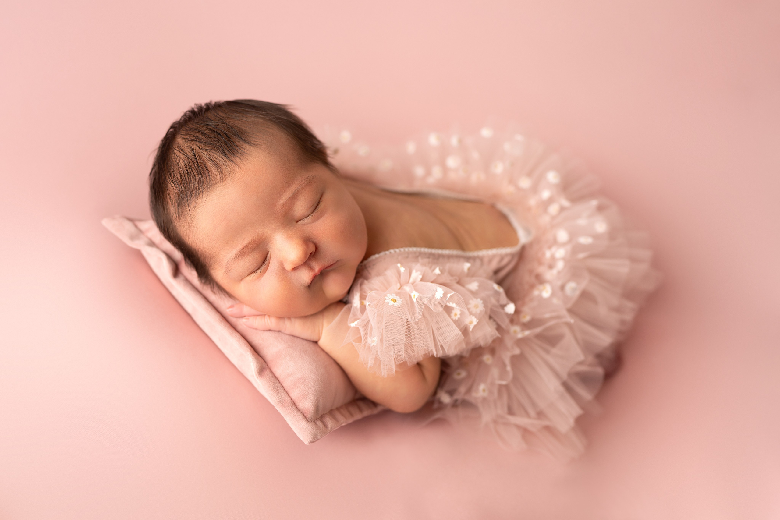 Packages and pricing. JaneProPhoto | Tampa Newborn Photographer