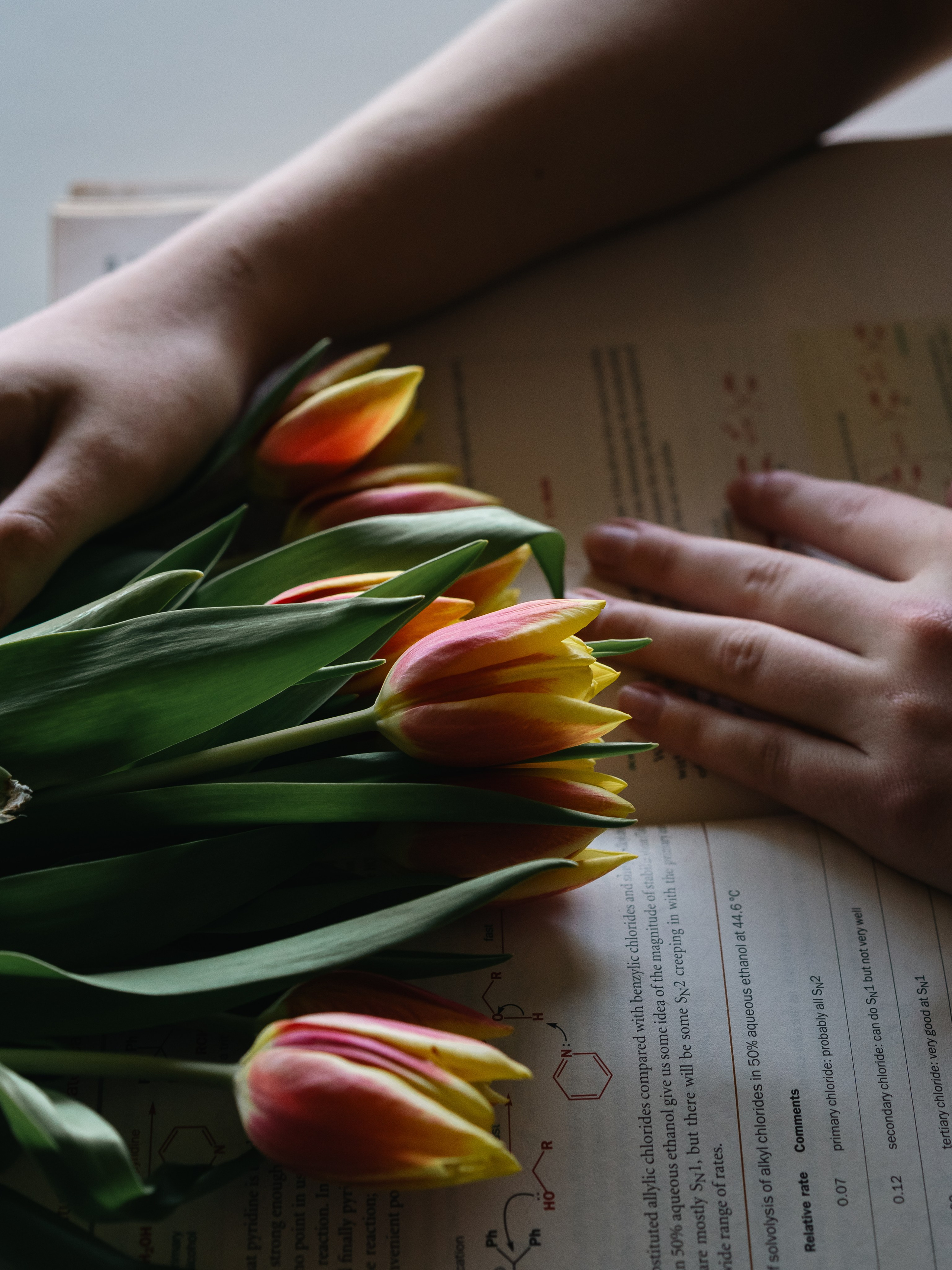 Alena / Printemps Vs. Révisions. Photographe à Genève - Eugenia Andres