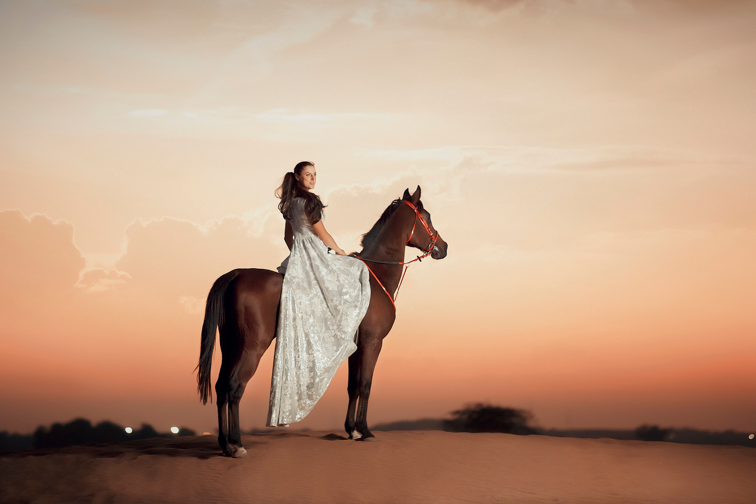 Horse photo session Dubai. Photographer in Dubai Dmitry Gromov