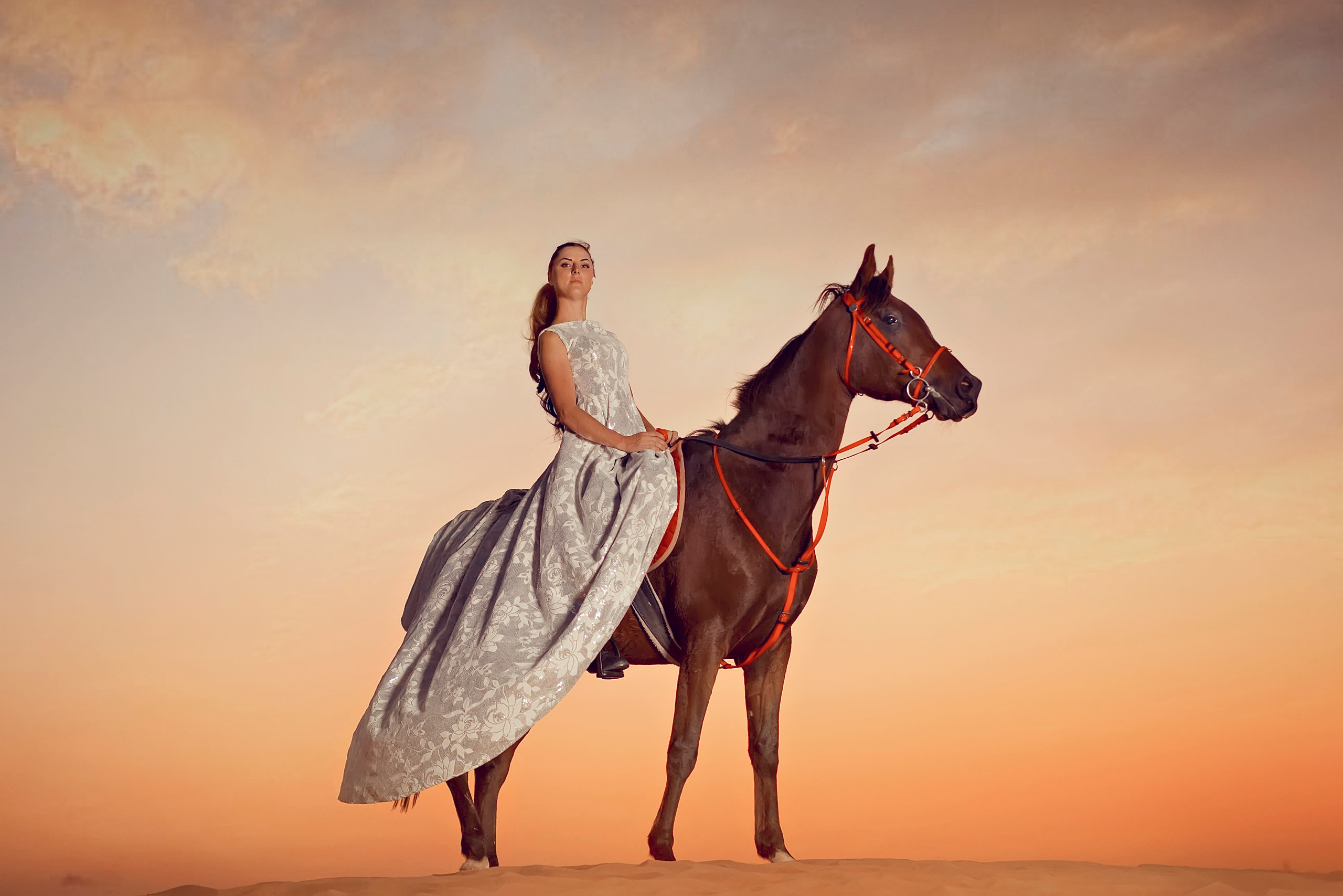 Horse photo session Dubai. Photographer in Dubai Dmitry Gromov