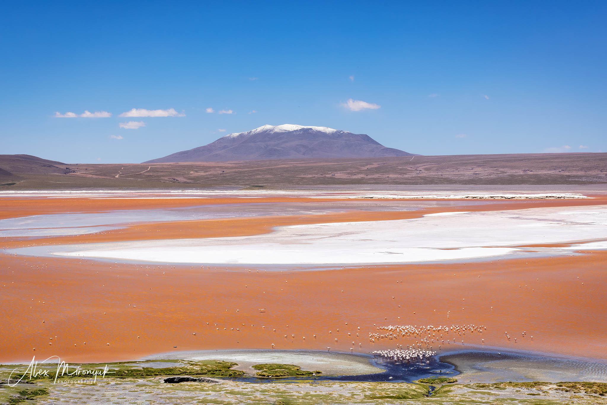 Bolivia Adventure. Pet, Senior, Landscape, portrait studio, photographer in Miami and Sou