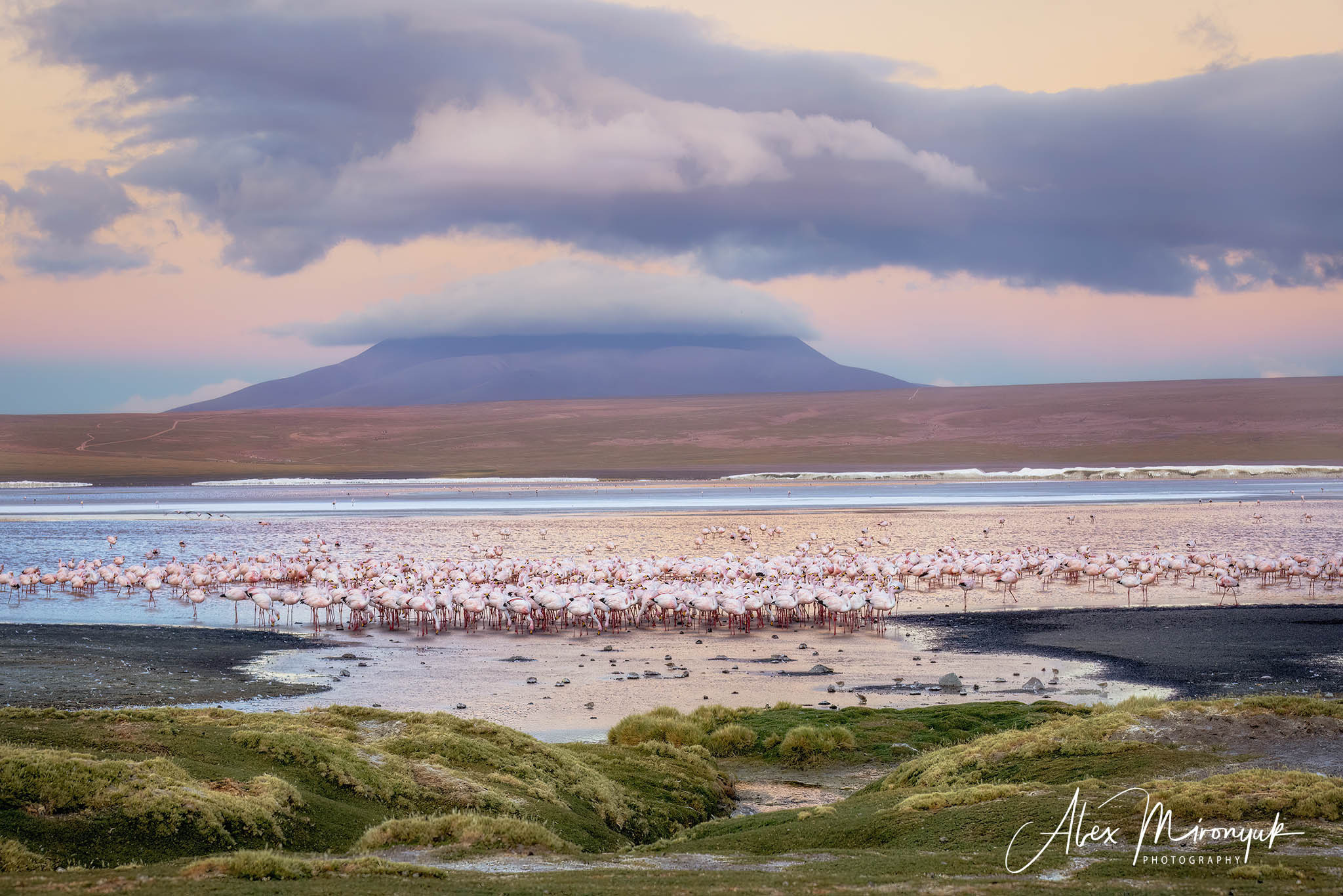 Bolivia Adventure. Pet, Senior, Landscape, portrait studio, photographer in Miami and Sou