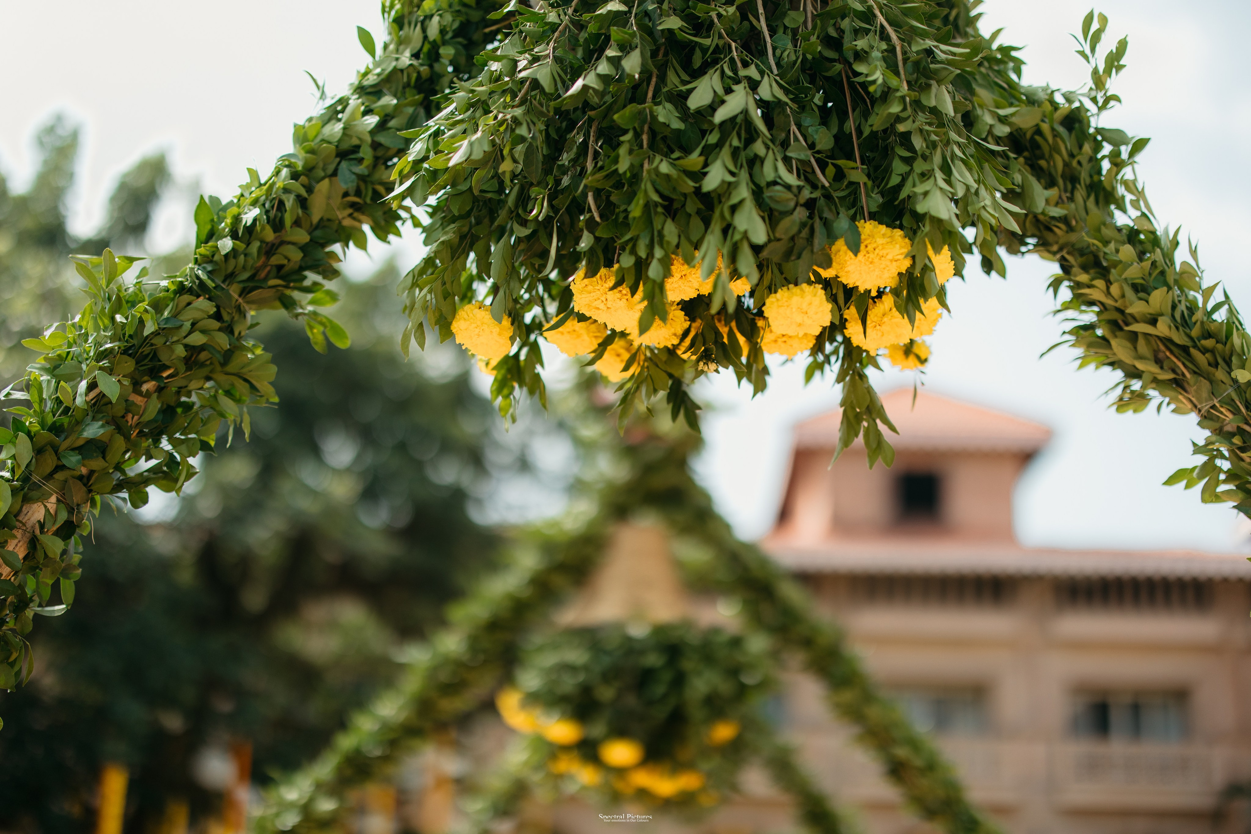 #THEPURALOVESTORY is a journey of two hearts growing in sync, across seasons, challenges, and memories