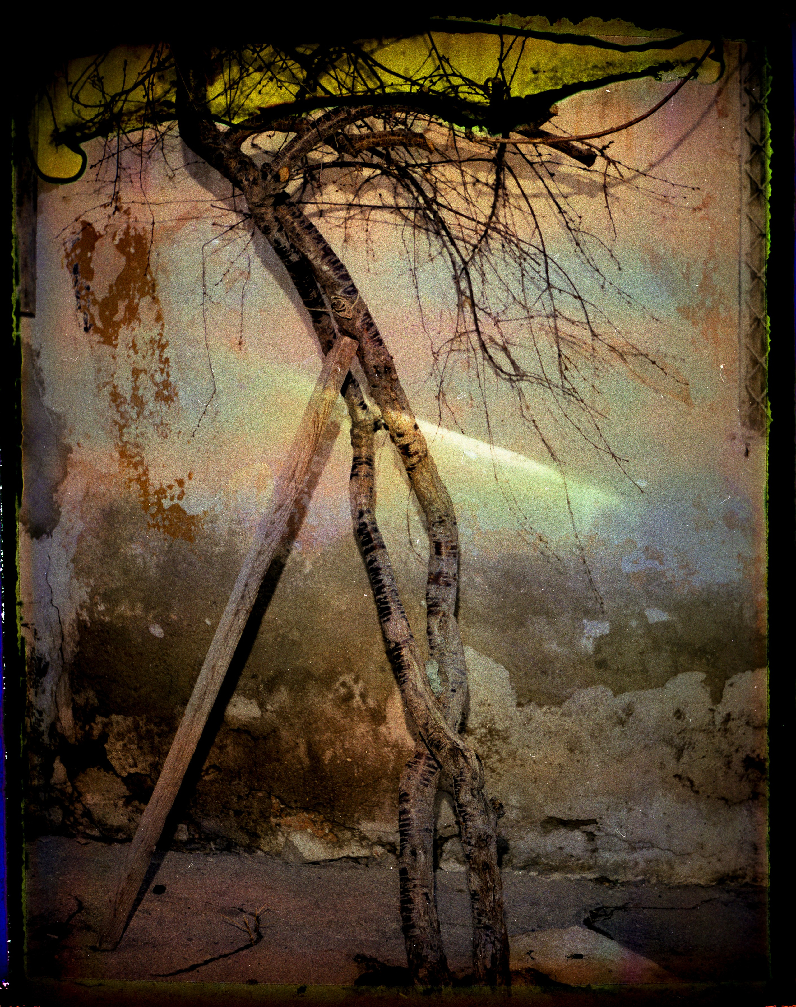 POLAROID. Www.sananaleskerov.com