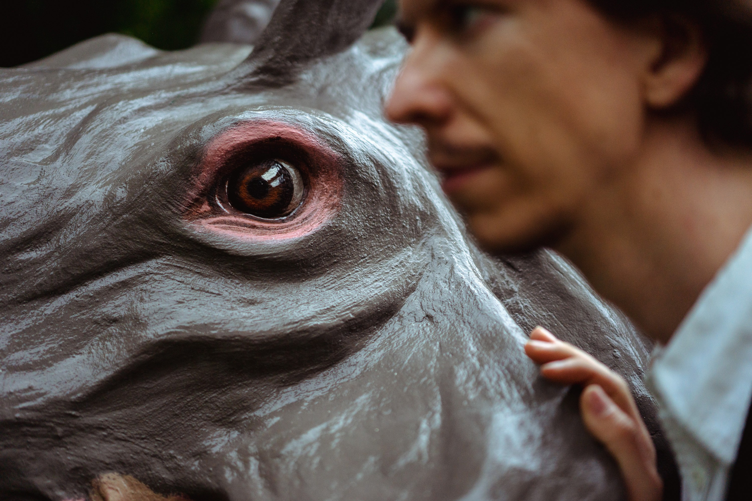 Portrait of a paleontologist for an article