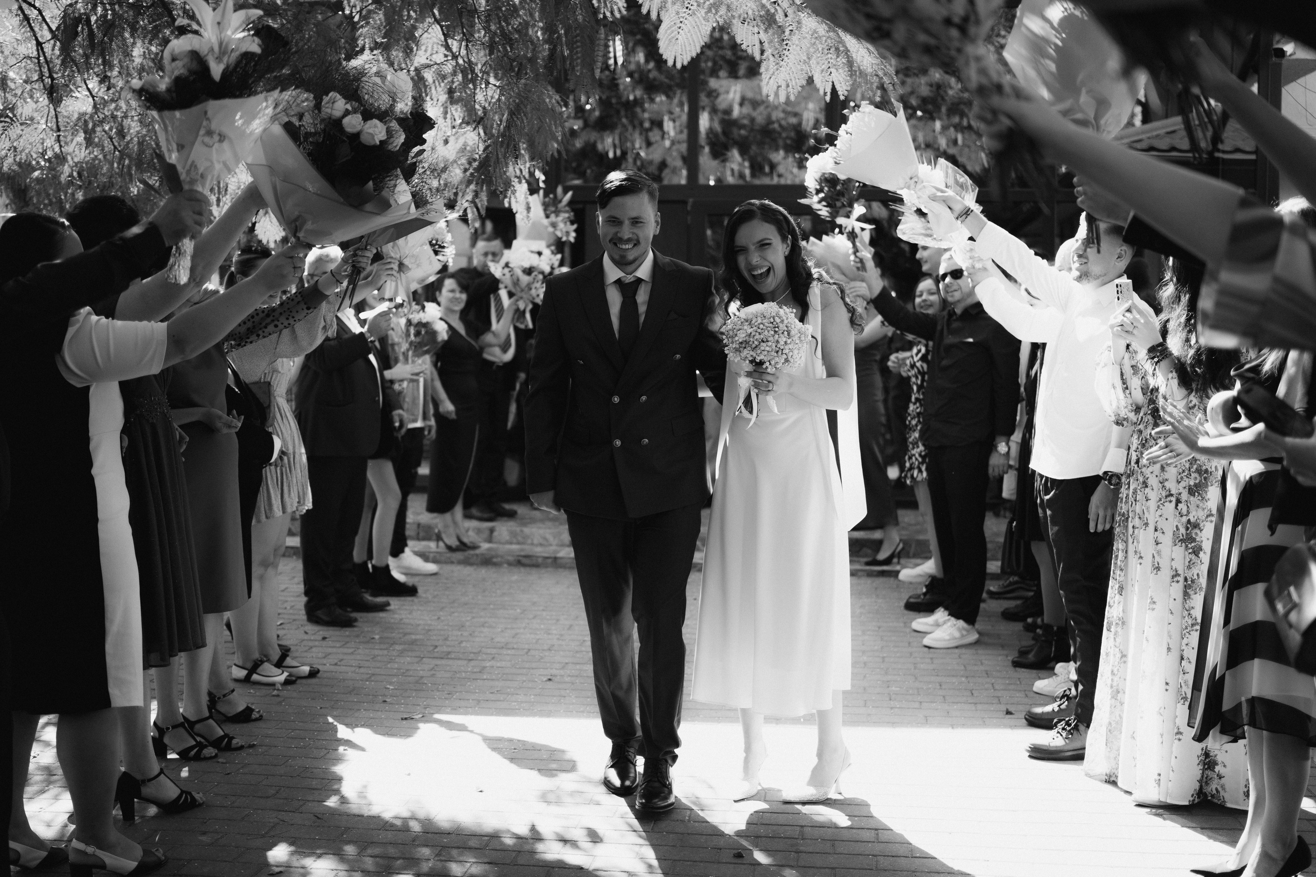 Pachete. STORYCATCHERS