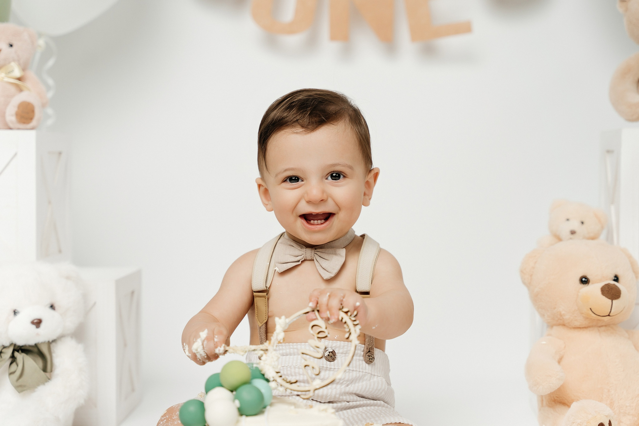 Teddy Bear One Year Cake Smash Photos. Newborn and family photographer. Hills District. Sydney