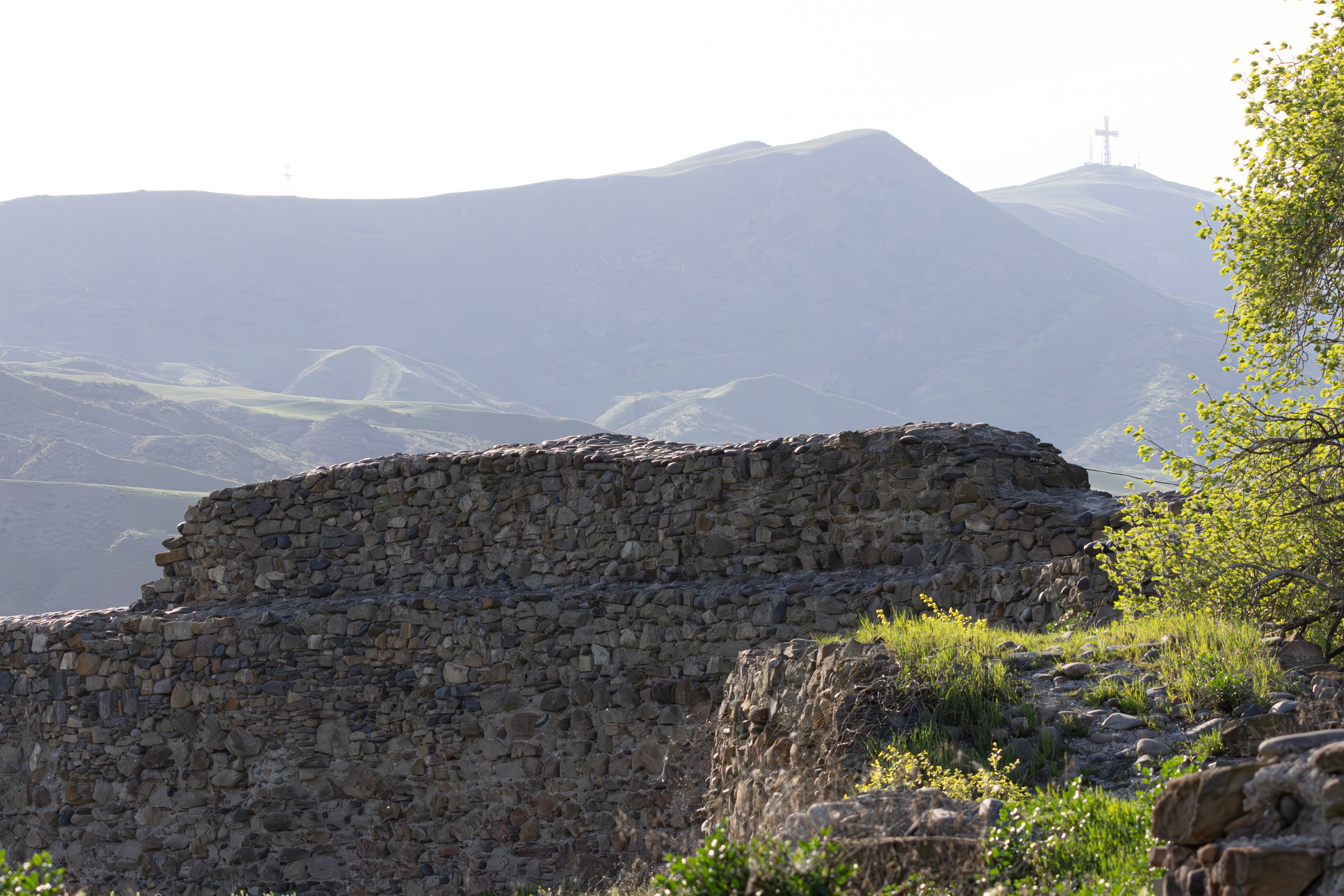 გასეირნება რუსთავის პარკში. FramefreeMan