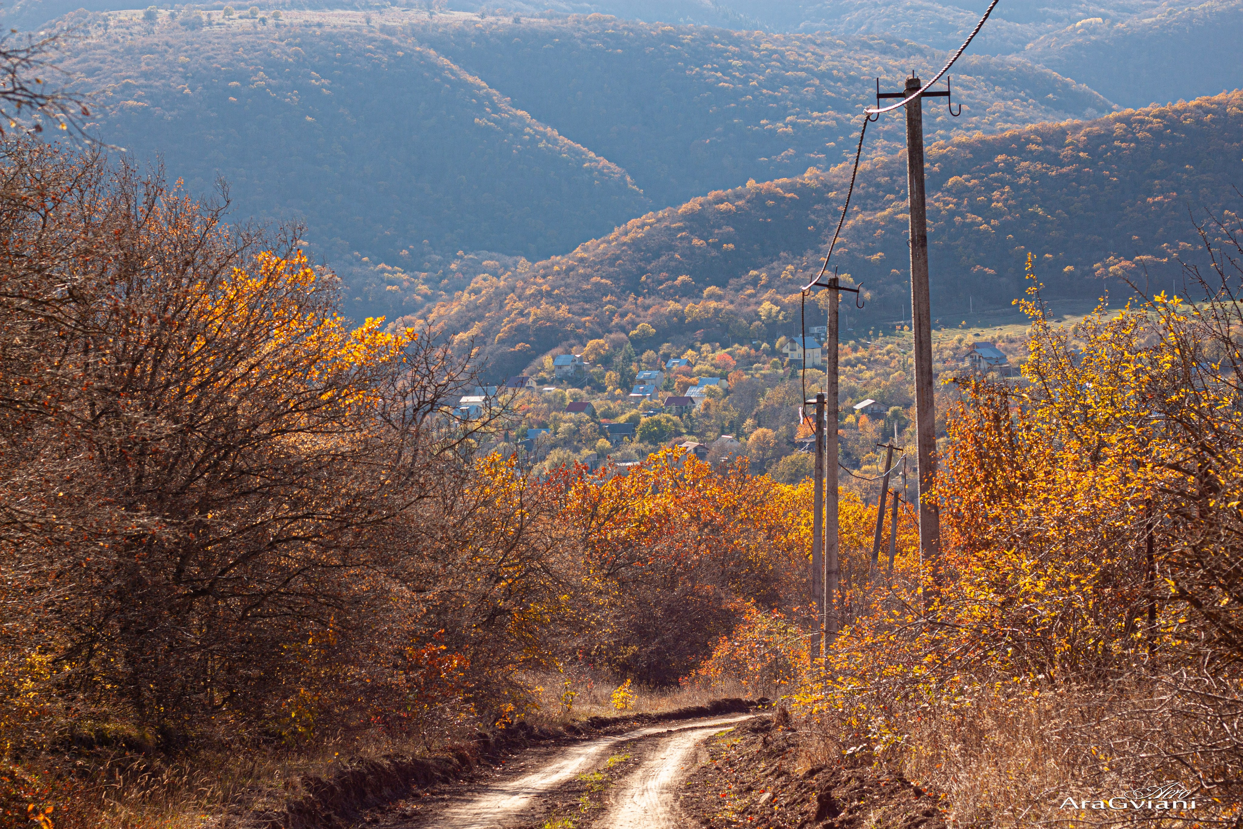 ჰიპოველოს შემოდგომის ველოტური წვერში. FramefreeMan