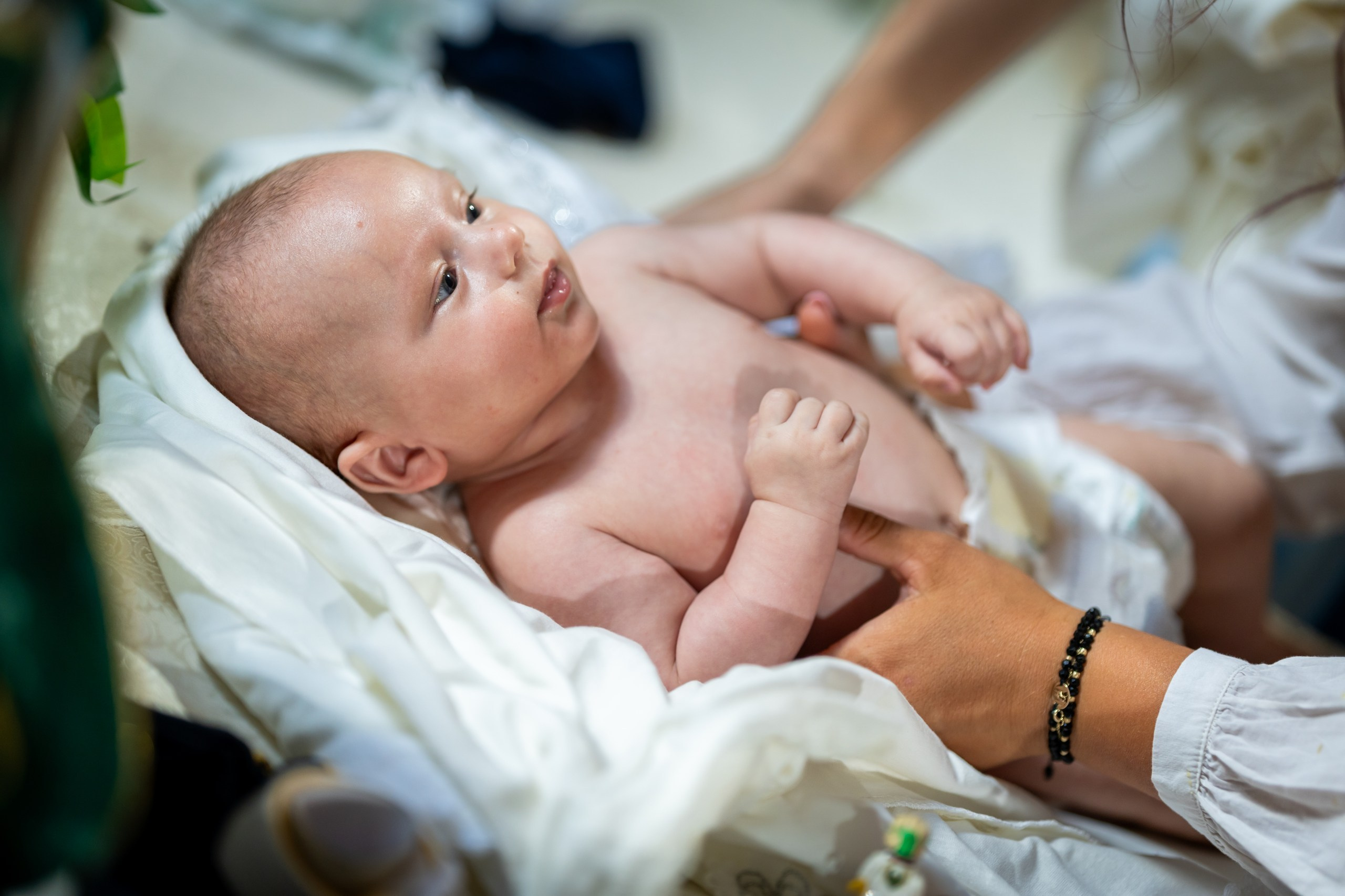 • botez Adam George Botoșani fotograf botez biserica Ziua Crucii AlinoFotoStudio • slujba botez ortodox Botoșani copil cristelniță emoție familie fotograf profesionist • moment scufundare botez biserica Ziua Crucii Botoșani fotograf botez natural • fotograf botez Botoșani copil în brațele nașilor emoții autentice • detalii botez lumânare trusou biserică Ziua Crucii fotograf AlinoFotoStudio • portret copil botez Adam George lumină naturală biserică Botoșani • familie la botez Botoșani momente emoționante biserică fotograf eveniment • preot slujbă botez Botoșani cadre autentice religioase fotografie profesională • mirungere botez ortodox Botoșani fotograf poveste botez • copil după botez în prosop alb emoție pură fotograf botez Botoșani petrecere botez Imperia Cucorani Botoșani decor elegant fotograf eveniment • dans invitați botez Adam George atmosferă veselă Imperia Cucorani • candy bar botez Botoșani detalii dulciuri Imperia Cucorani fotograf • tort botez Adam George moment tăiere tort petrecere Botoșani • familie și invitați la botez Imperia Cucorani cadre naturale emoționale • decor sală botez Imperia Cucorani Botoșani aranjamente elegante • copil botez la petrecere cadre naturale fotograf Botoșani • fotograf botez Botoșani momente spontane invitați petrecere • lumină ambientală petrecere botez Imperia Cucorani fotograf profesionist • atmosferă de seară botez Botoșani distracție și emoție • fotograf botez Botoșani AlinoFotoStudio poveste prin fotografie • fotograf profesionist botez Moldova Botoșani Suceava Iași Neamț • amintiri botez copil fotografii naturale emoții autentice • album botez copil fotografie profesională eveniment religios • fotograf evenimente Botoșani botez cadre autentice și luminoase • Alin Chirilă fotograf botez Botoșani Adam George biserica Ziua Crucii • Alin Chirilă fotograf profesionist botez copil Botoșani momente emoționante • Alin Chirilă fotograf evenimente Botoșani slujbă botez cadru autentic • Alin Chirilă fotograf botez ortodox copil cristelniță Botoșani • Alin Chirilă fotograf familie botez copil emoții reale și naturale • Alin Chirilă fotograf Botoșani portret copil botez lumină naturală • Alin Chirilă fotograf detalii botez trusou lumânare biserică • Alin Chirilă fotograf momente religioase botez Botoșani autentic • Alin Chirilă fotograf copil după botez emoție pură familie • Alin Chirilă fotograf cadre naturale botez copil Botoșani • Alin Chirilă fotograf petrecere botez Imperia Cucorani atmosferă elegantă • Alin Chirilă fotograf Botoșani dans invitați botez copil Adam George • Alin Chirilă fotograf tort botez moment special petrecere Botoșani • Alin Chirilă fotograf candy bar botez detalii elegante Imperia Cucorani • Alin Chirilă fotograf familie și invitați petrecere botez Botoșani • Alin Chirilă fotograf decor sală botez Imperia Cucorani eveniment premium • Alin Chirilă fotograf cadre spontane petrecere botez copil • Alin Chirilă fotograf atmosferă de seară botez Botoșani • Alin Chirilă fotograf emoții și distracție petrecere botez • Alin Chirilă fotograf evenimente copil botez Imperia Cucorani Alin Chirilă fotograf botez Moldova Botoșani Iași Suceava Neamț • Alin Chirilă fotograf profesionist botez copil nordul Moldovei • Alin Chirilă fotograf evenimente familie botez cadre autentice • Alin Chirilă fotograf povestitor prin fotografie botez copil • Alin Chirilă fotograf portofoliu botez Botoșani imagini naturale • Alin Chirilă fotograf servicii botez copil fotografii emoționale • Alin Chirilă fotograf amintiri botez copil cadre luminoase • Alin Chirilă fotograf botez copil stil natural și elegant