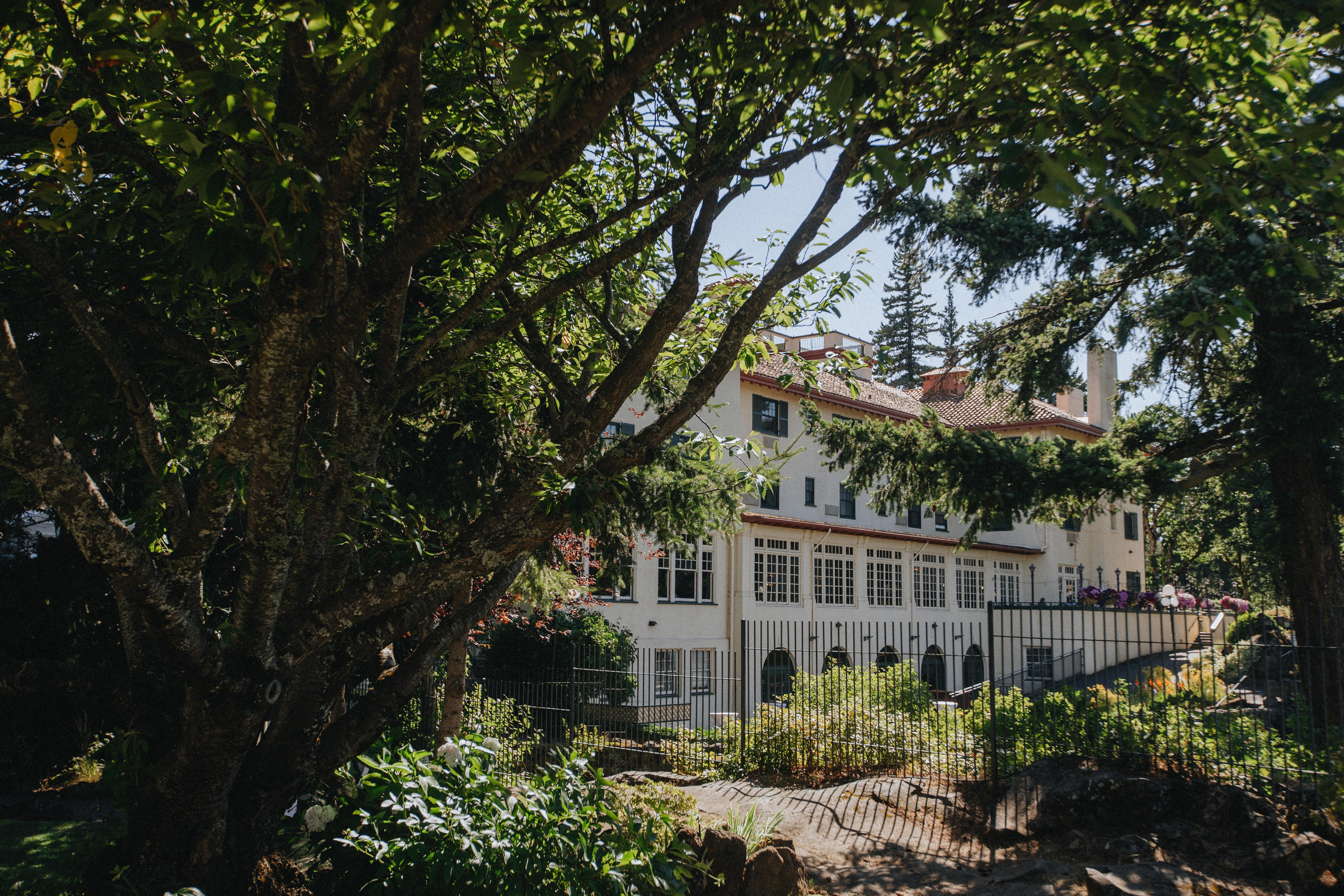 Brook & Richard's Wedding in Portland Oregon| Captured by Georgy Shishkin, Professional Wedding Photographer Seattle, Bend & Oregon Coast. Capturing Love in the Heart of the Pacific Northwes