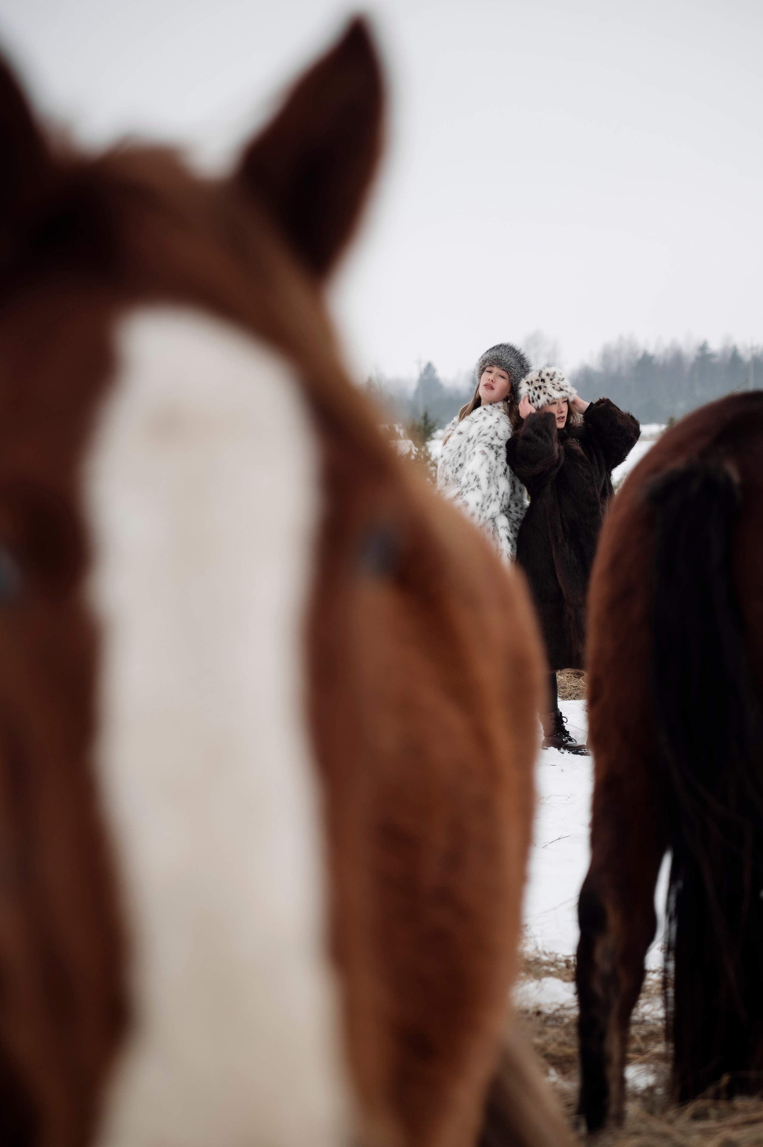 Семья/пара. Фотограф Таллинн — свадьба |семья | lovestory